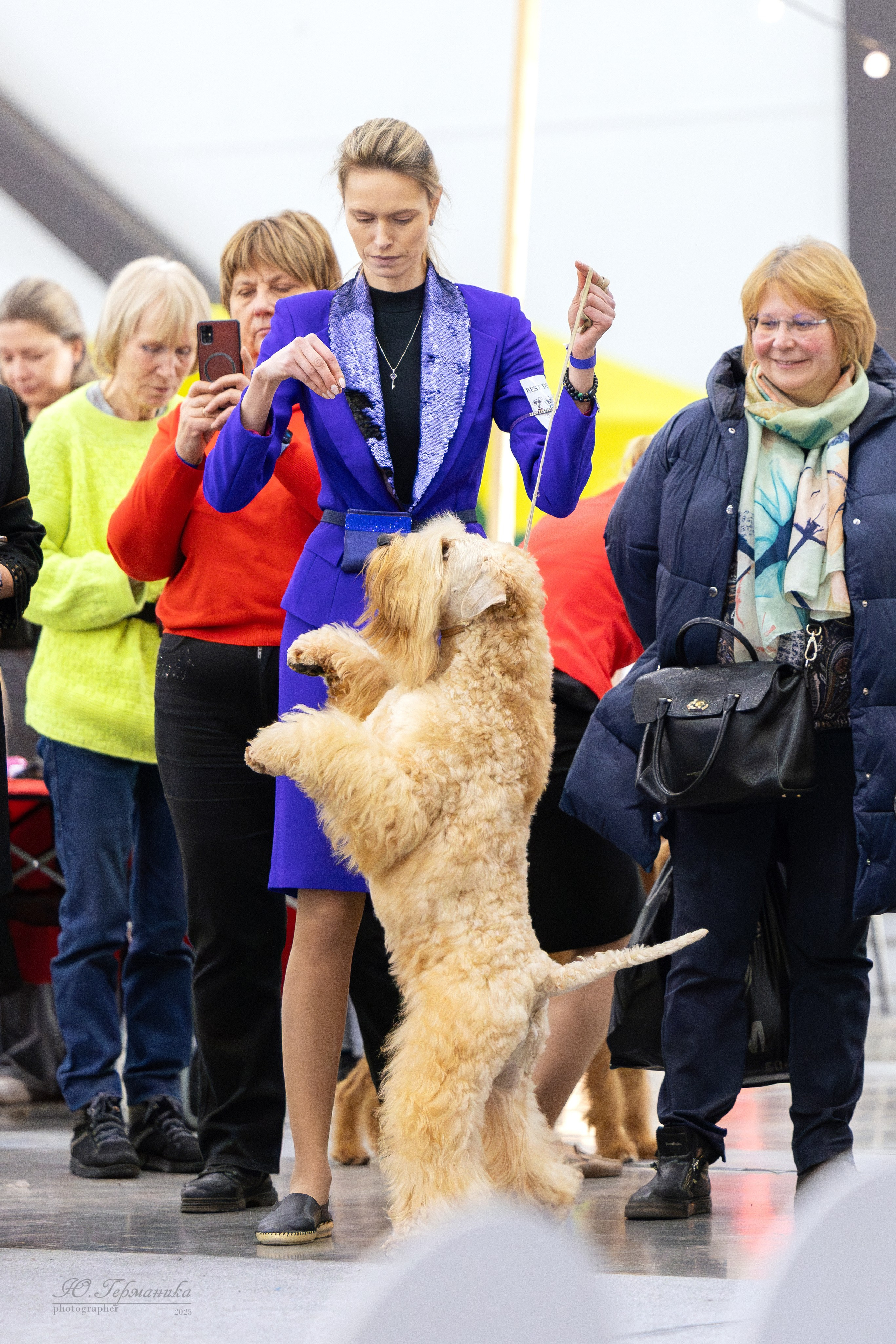 Питер 12-13.12.2025. Фотограф-анималист Юлия Германика