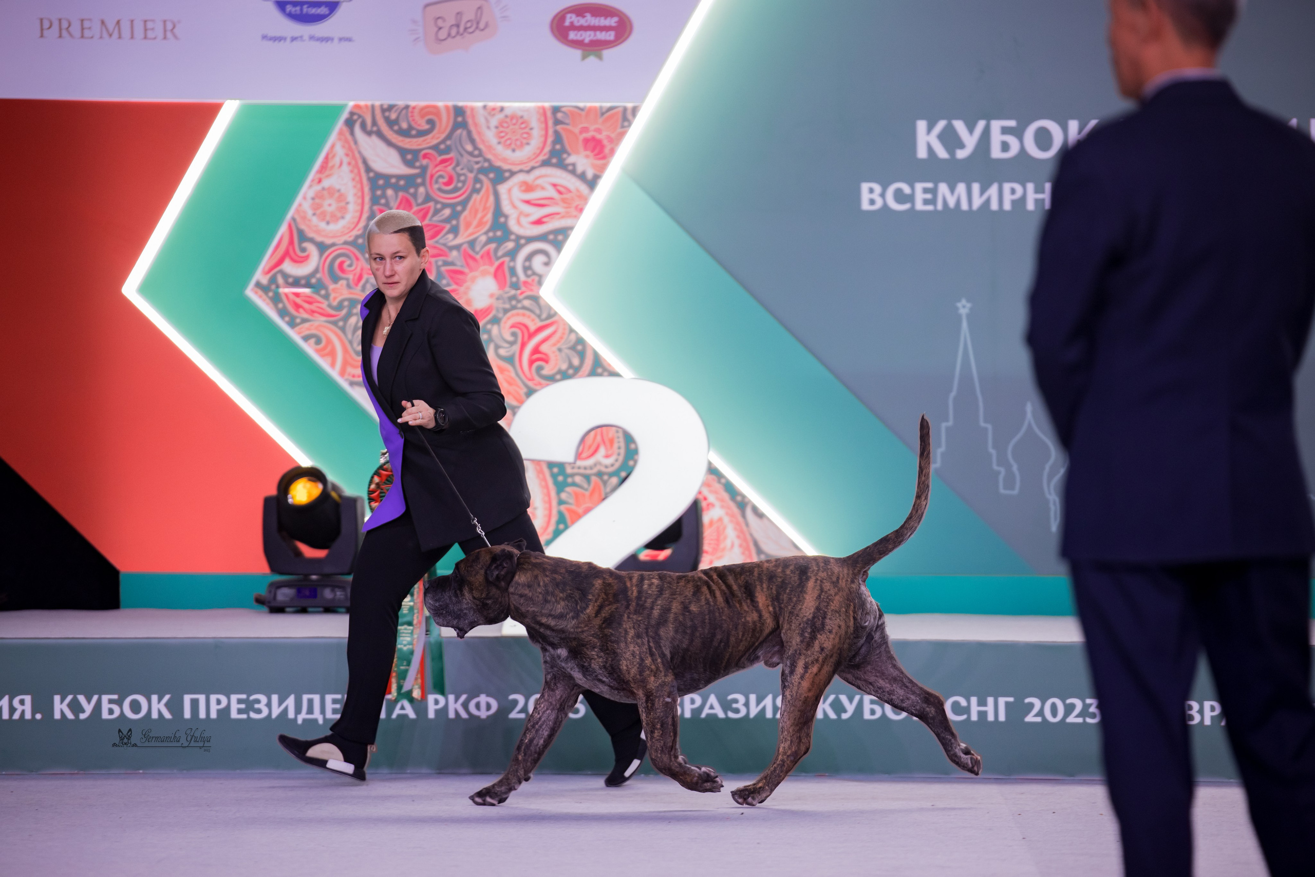 ЕВРАЗИЯ 18-19.11.2023. Фотограф-анималист Юлия Германика