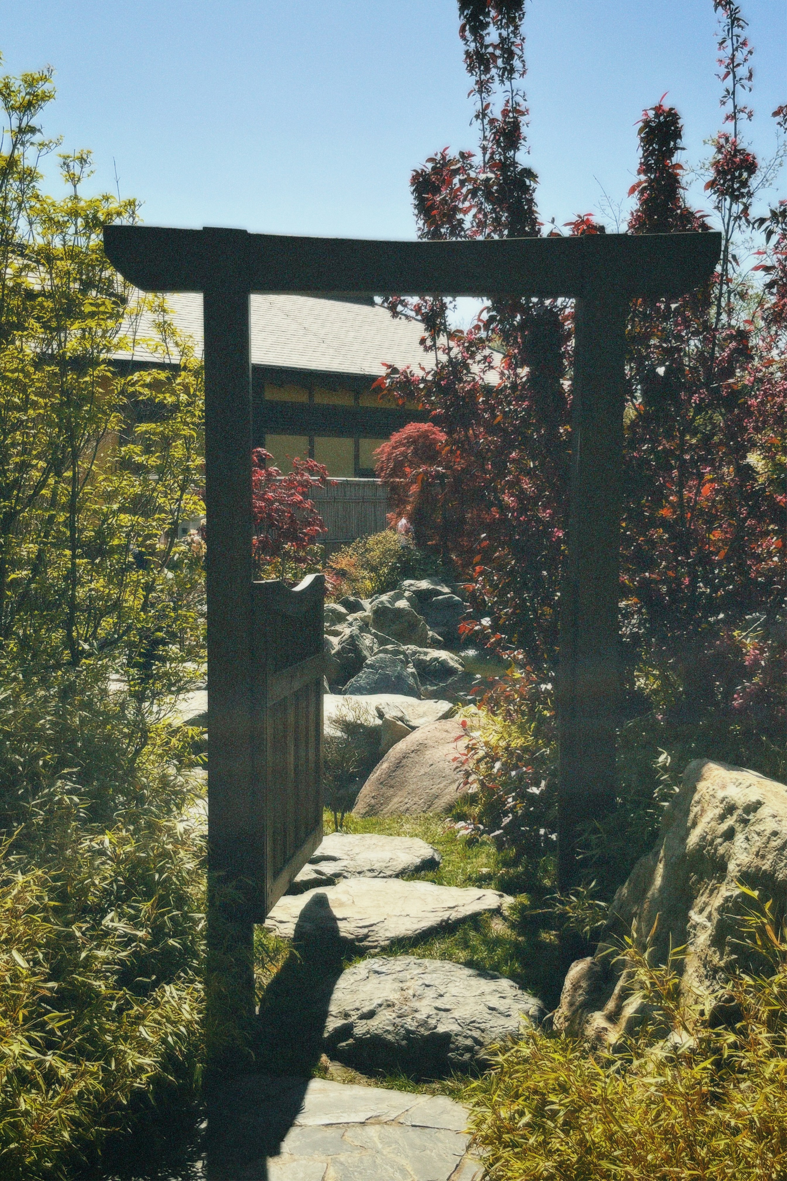 КРАСНОДАР. Портретный и лавстори фотограф в Стерлитамаке Альбина Шарт