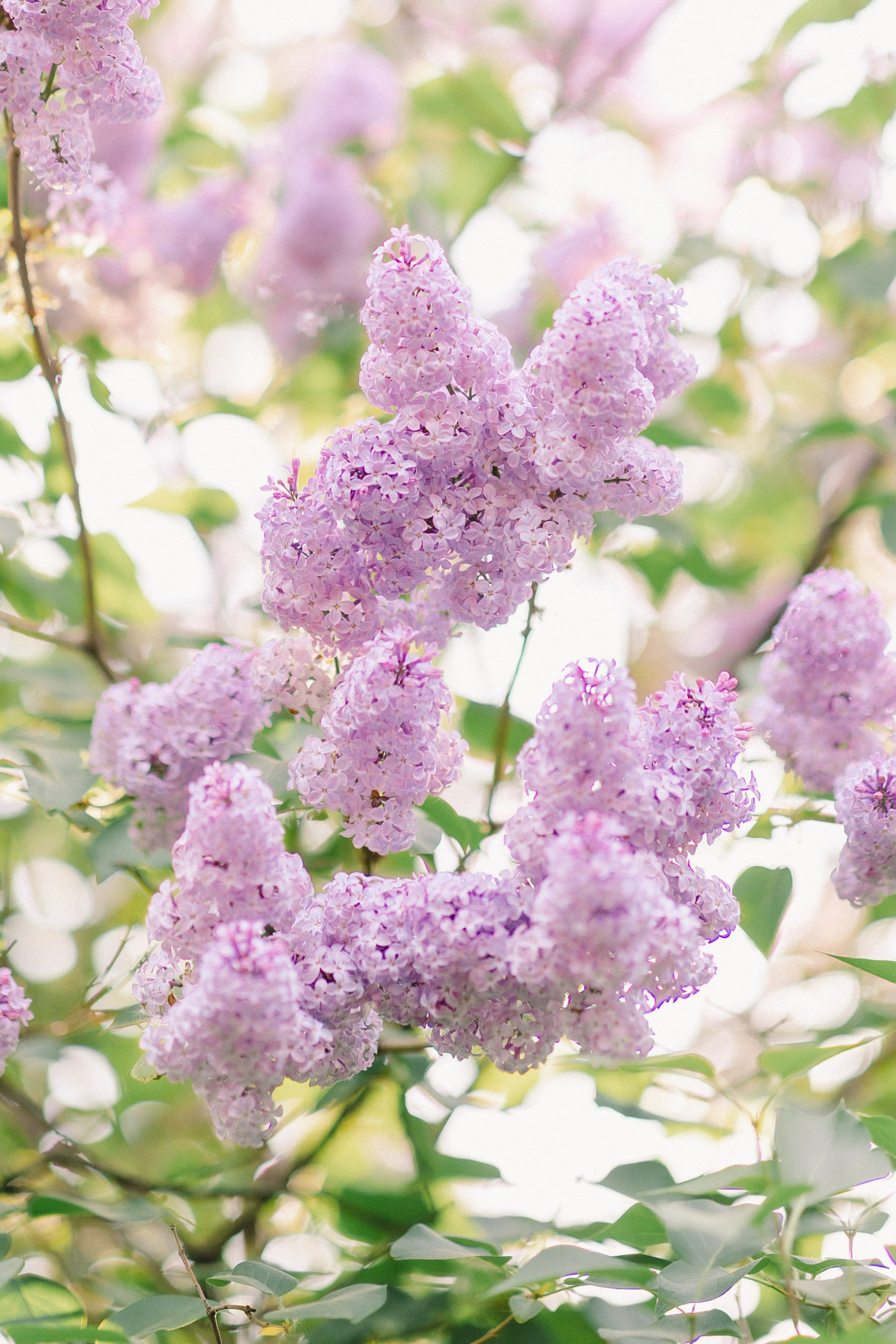 Фотограф лавстори Love story. Фотограф Москва — Павел Михайлов