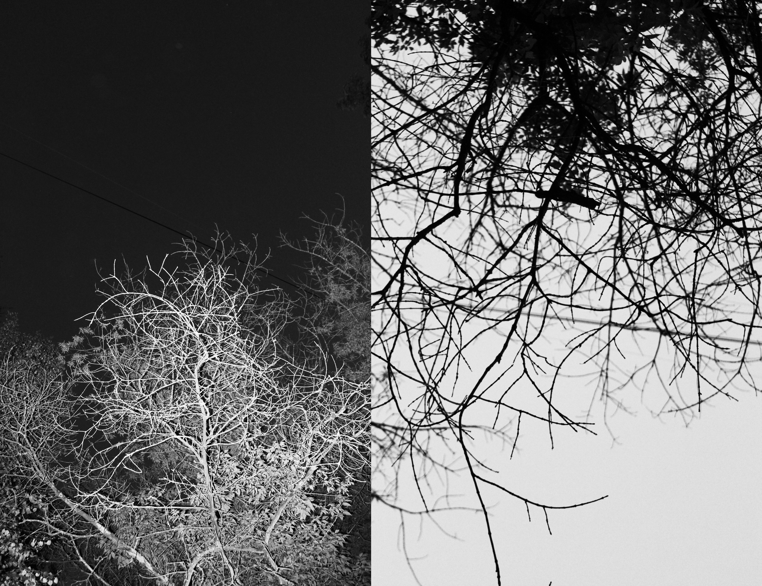 Мои первые работы. Фотограф из Москвы — DASHA NOVA | Авторская фотография в разных жанрах