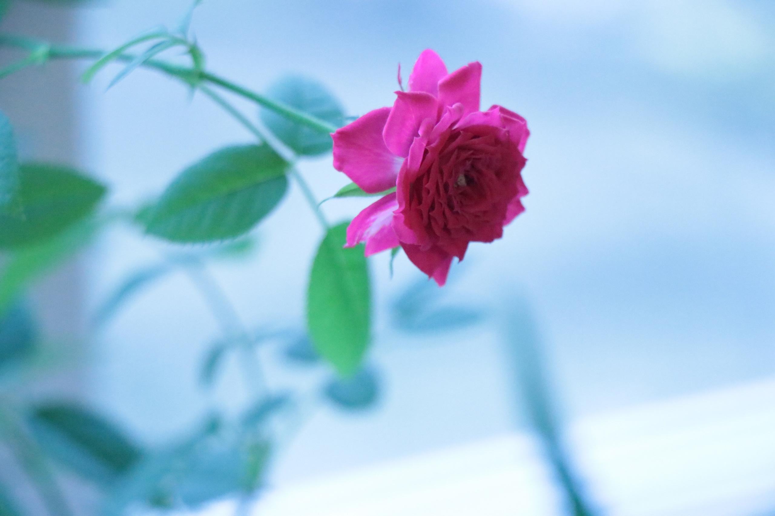 Предметная фотография