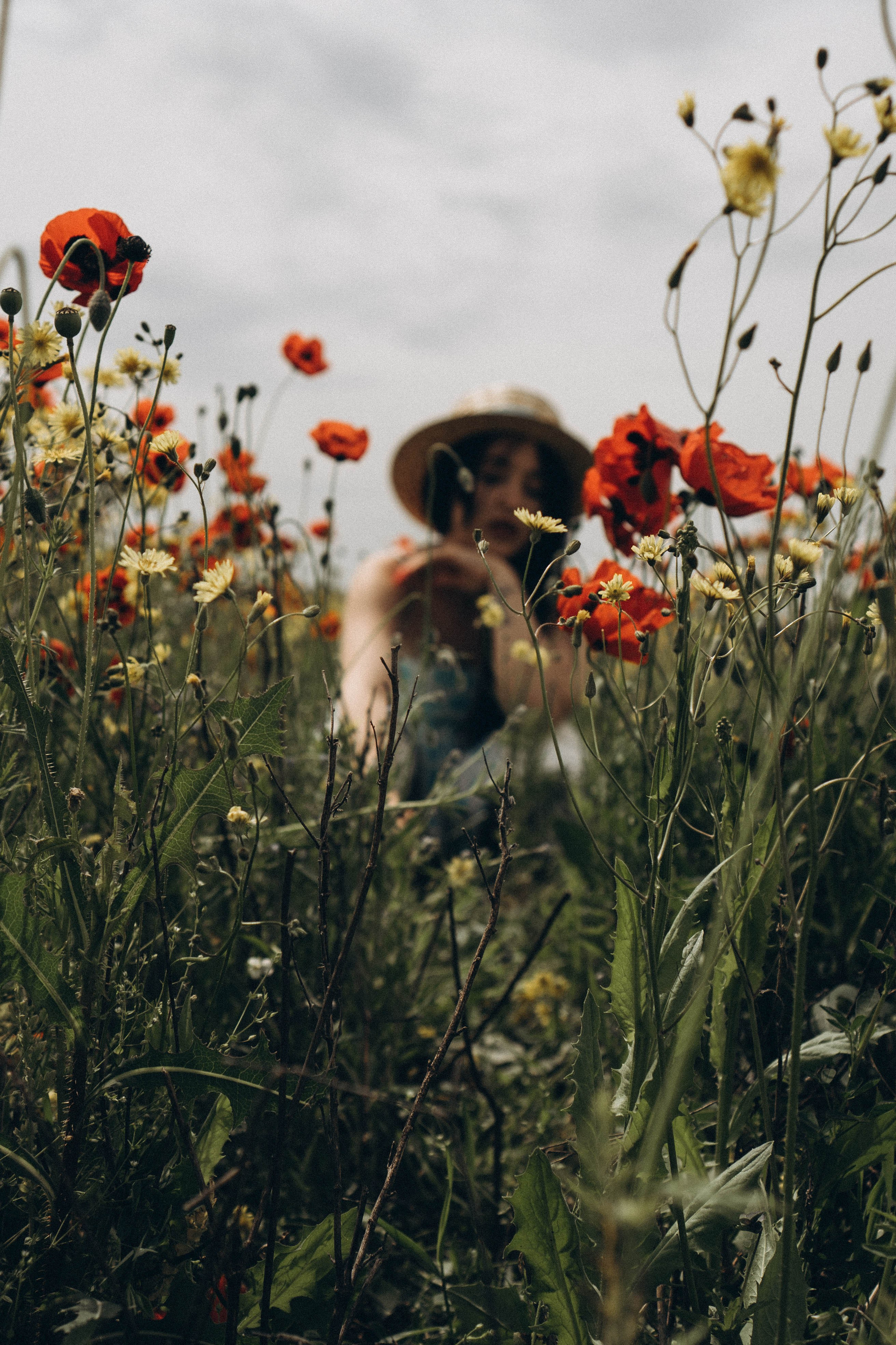 Цветочная поляна. Профессиональный фотограф, Санкт-Петербург — Виктория Богомолова