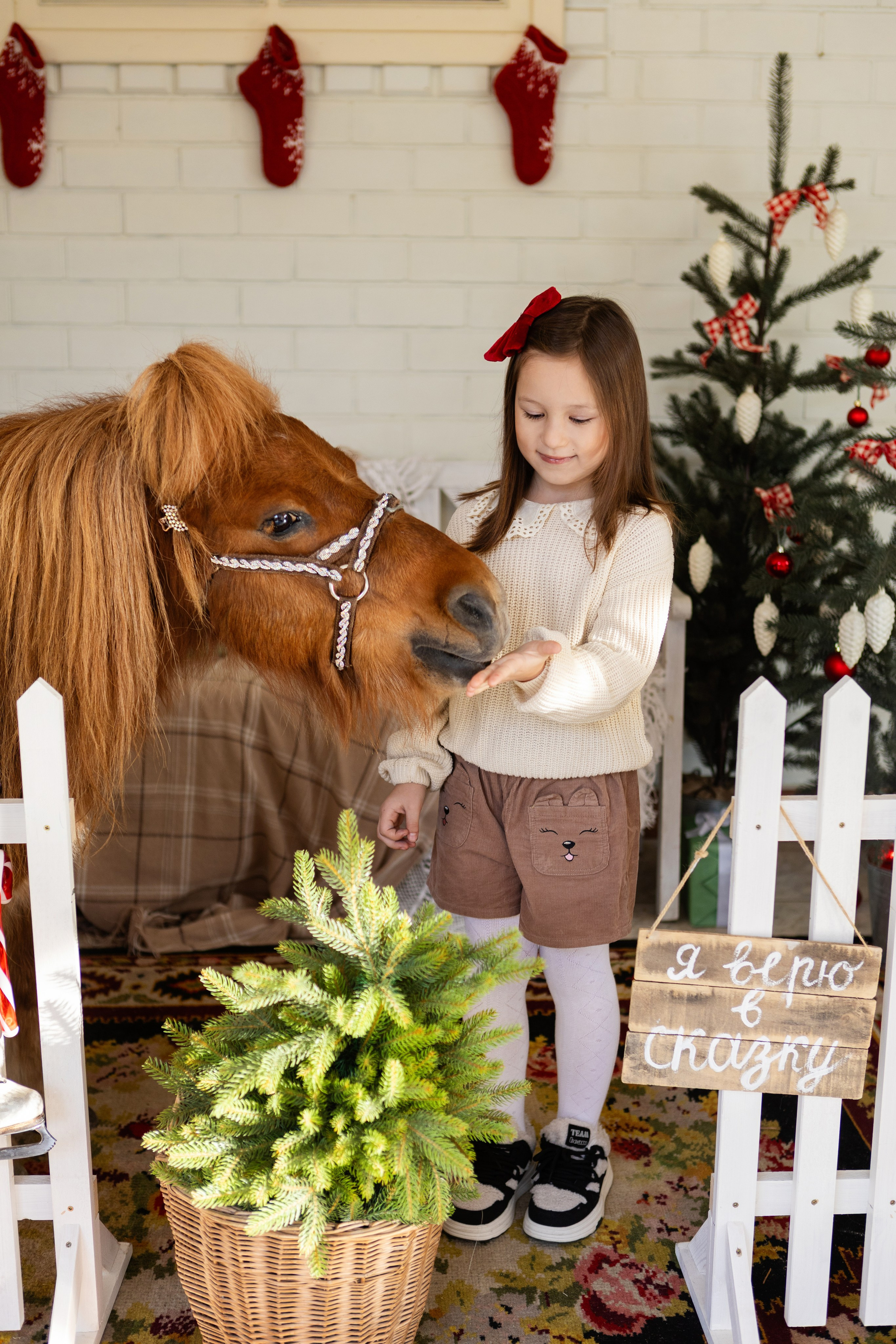 Символ 2026 года «Пони-Бонус». Фотостудия Ольги Сурухановой. Свадебный семейный и детский фотограф в Краснодаре Карина Федоровская