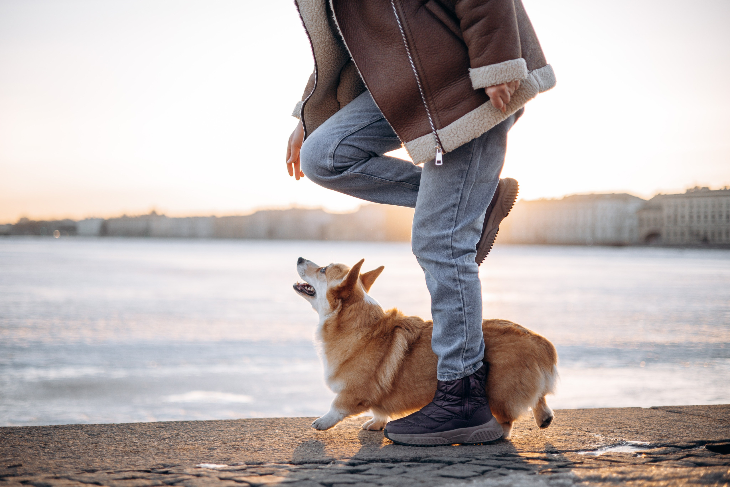 Настя и Ева. Фотограф — Анималист | Санкт-Петербург