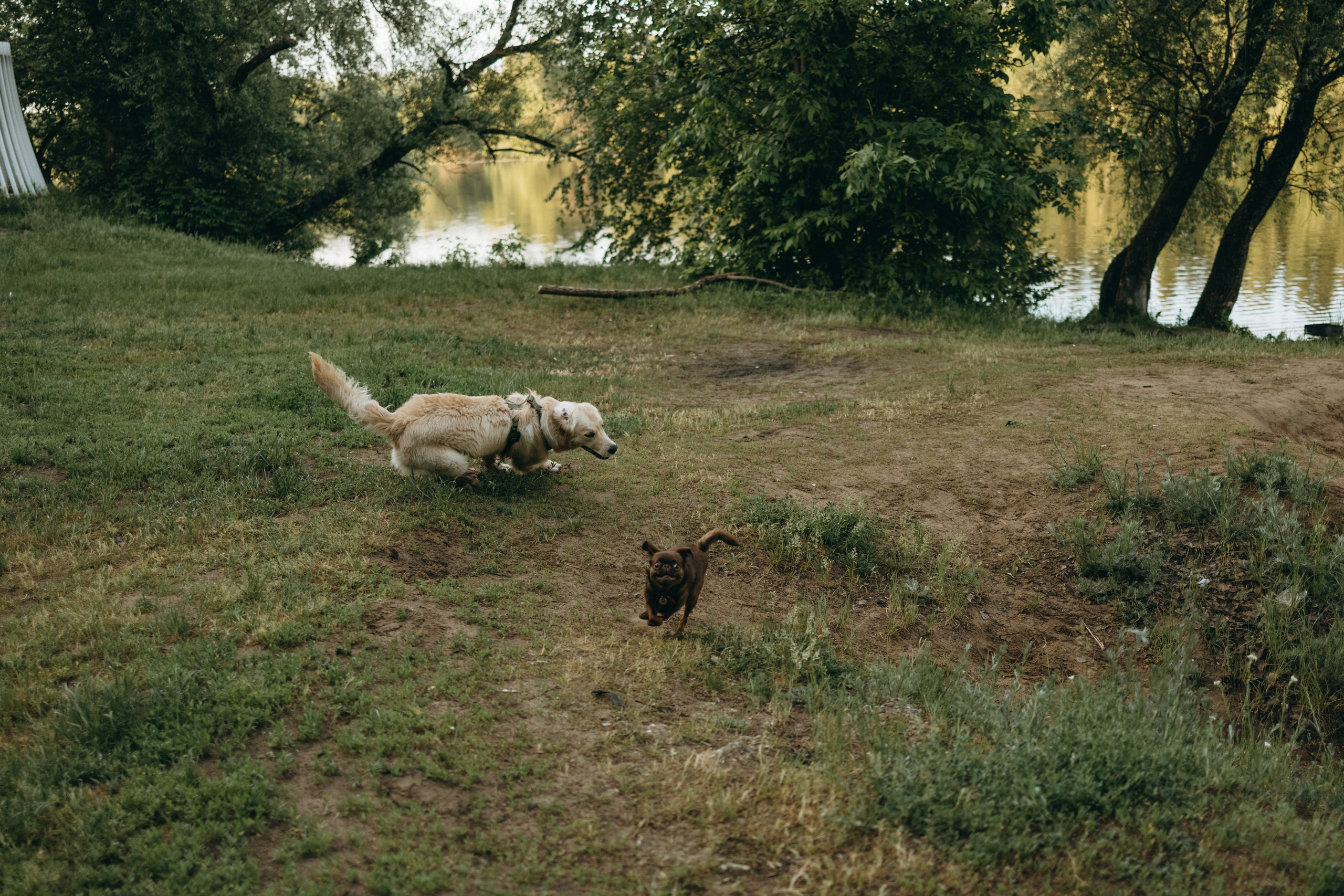 Екатерина и Лёня. Фотограф — Анималист | Санкт-Петербург