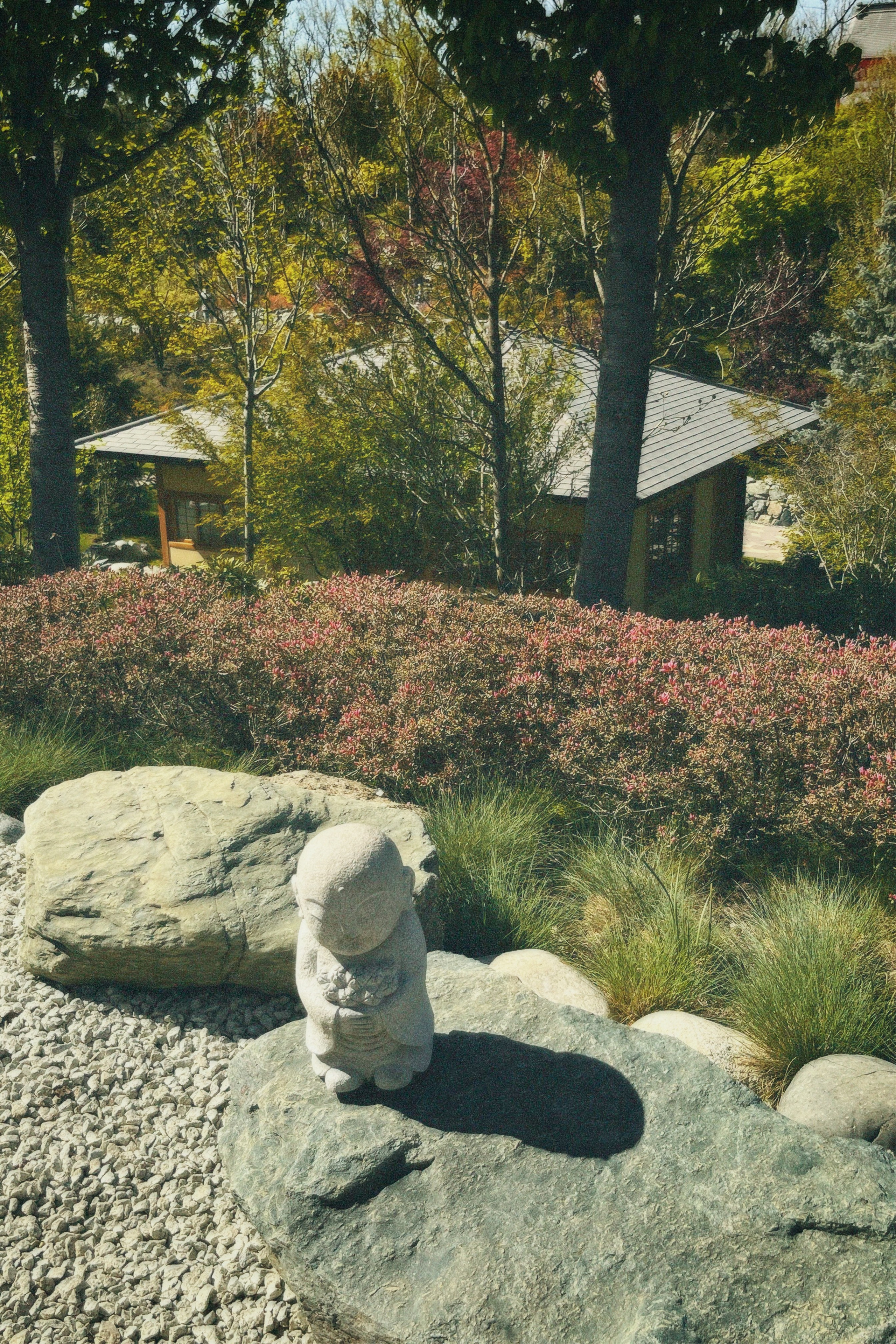 КРАСНОДАР. Портретный и лавстори фотограф в Стерлитамаке Альбина Шарт