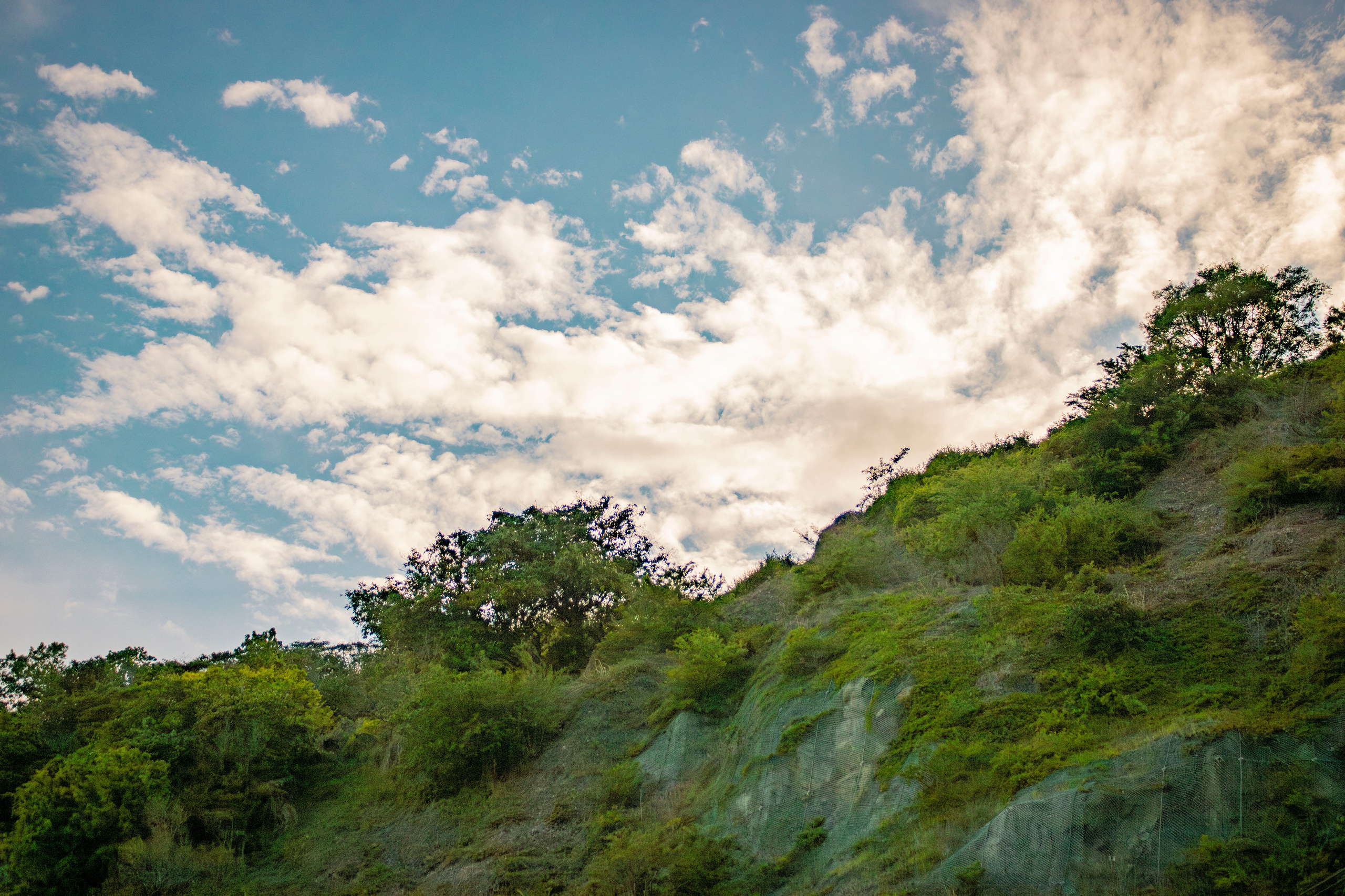 Однажды в Корее. Часть 1. Фотограф г. Владивосток
