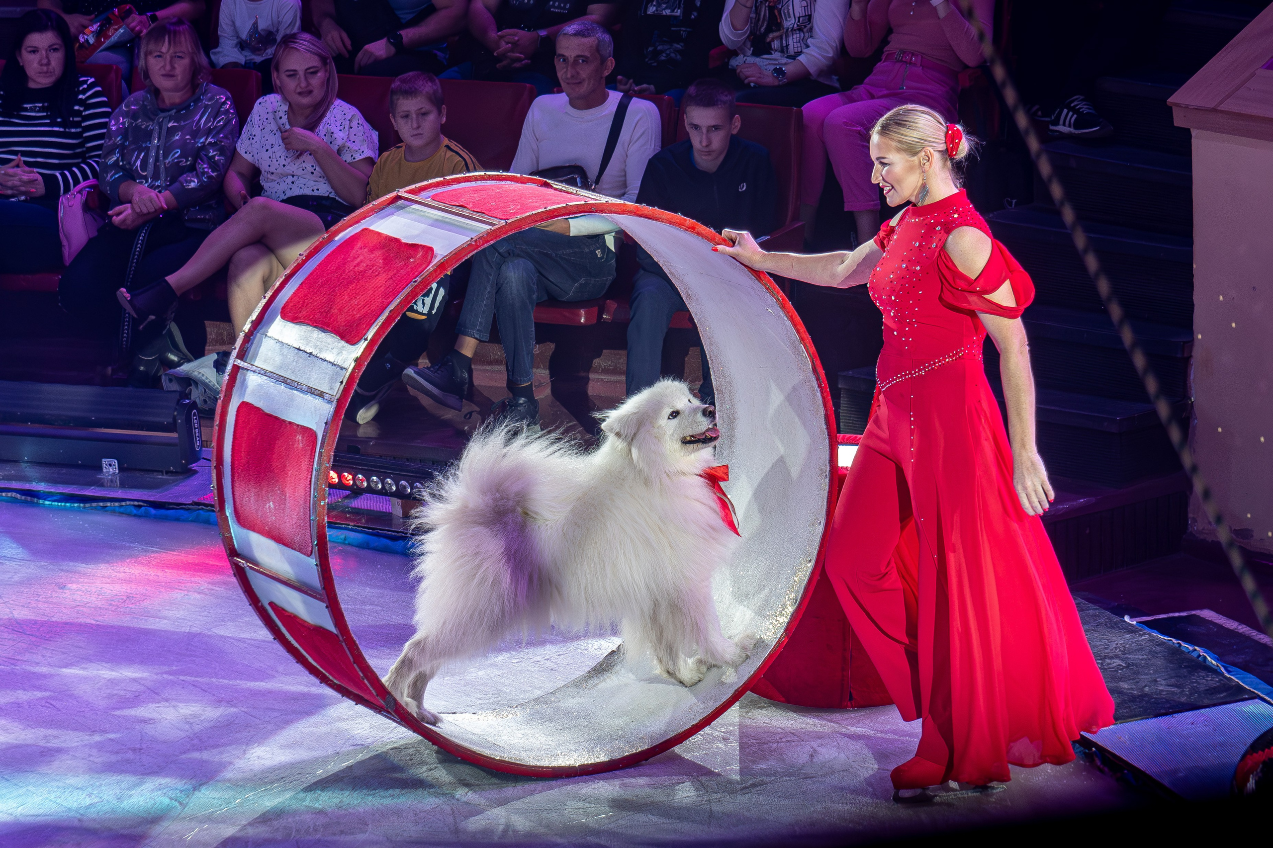 Цирк на льду «Айсберг» в Луганске. Фотограф в РФ и ЛНР Юлия Федосеева