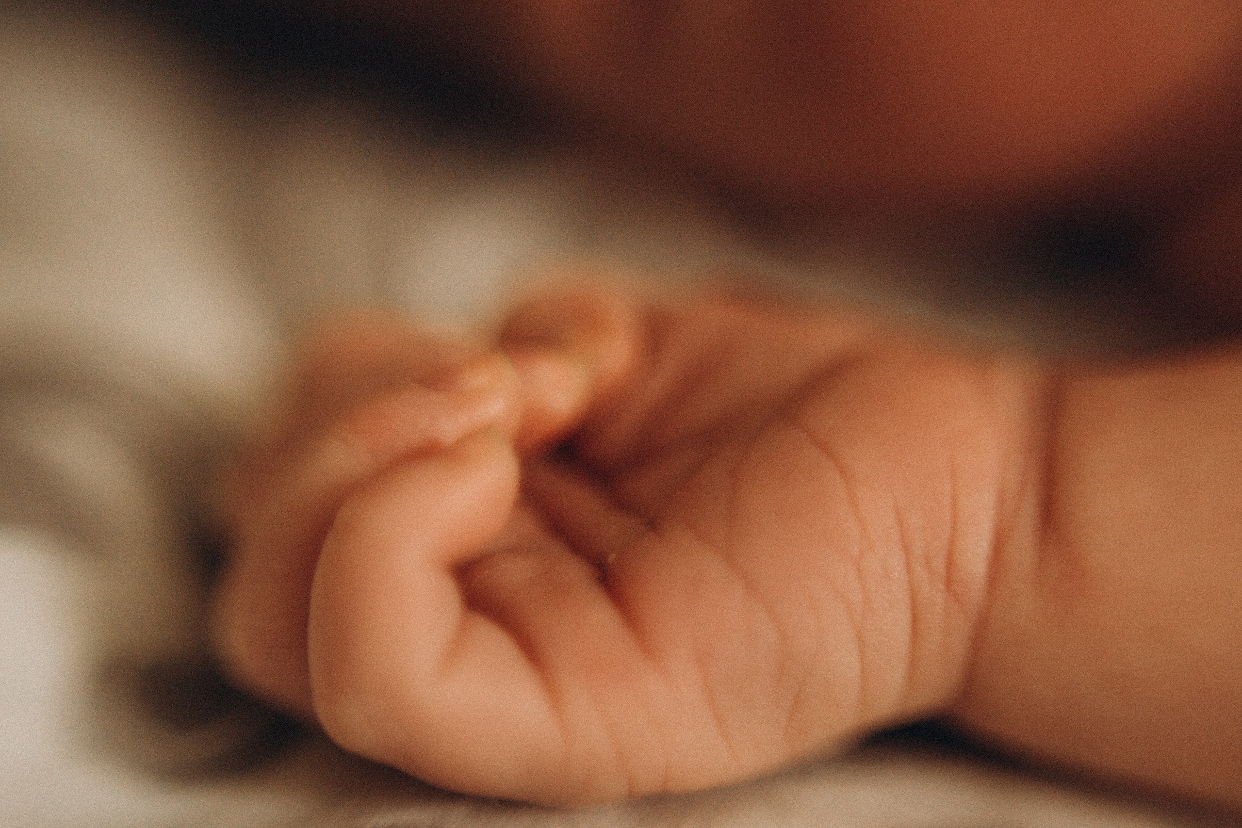 Мелисса. Семейный фотограф Виктория Потехина Москва