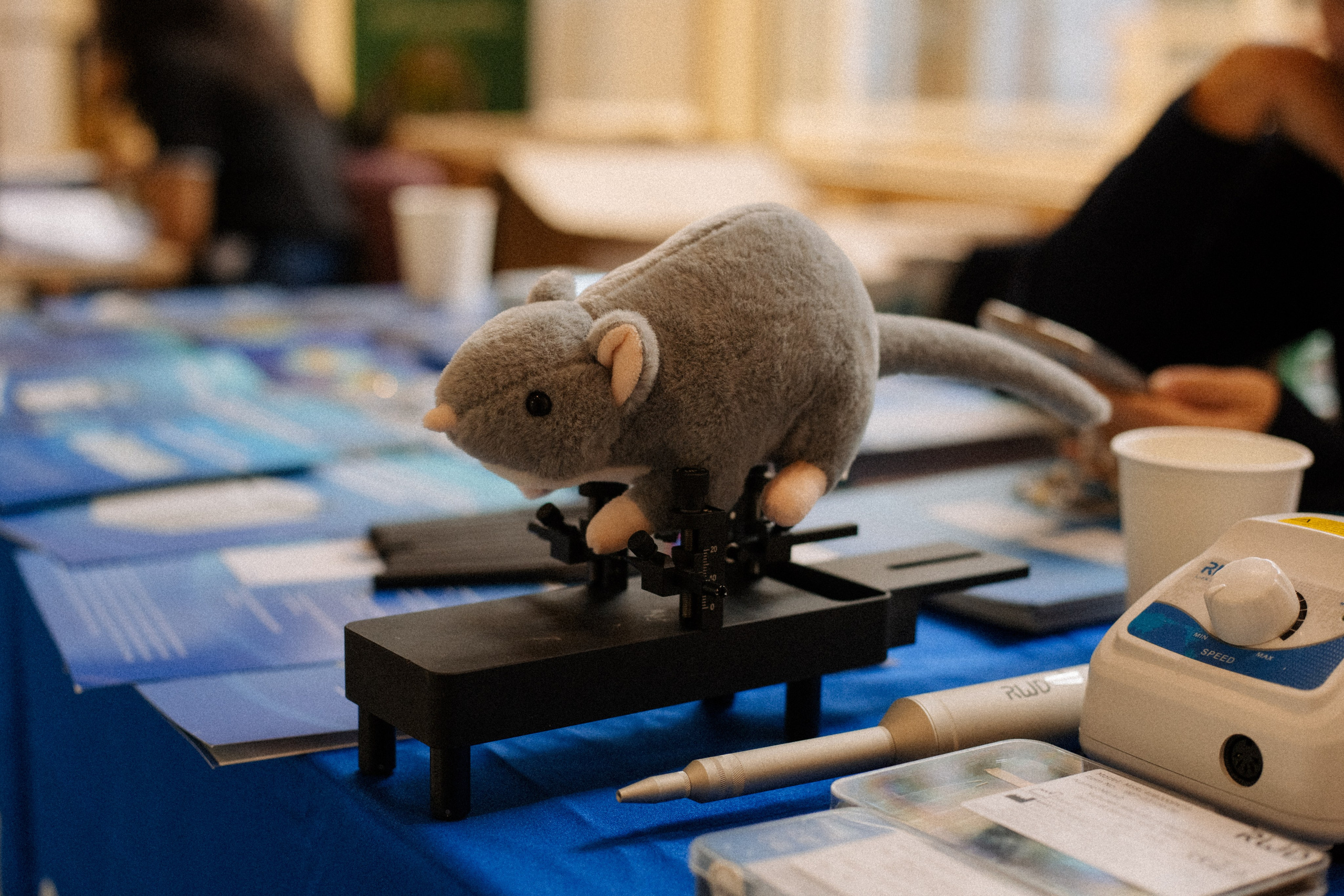 Научная конференция в Звенигороде. Семейный фотограф Виктория Потехина Москва