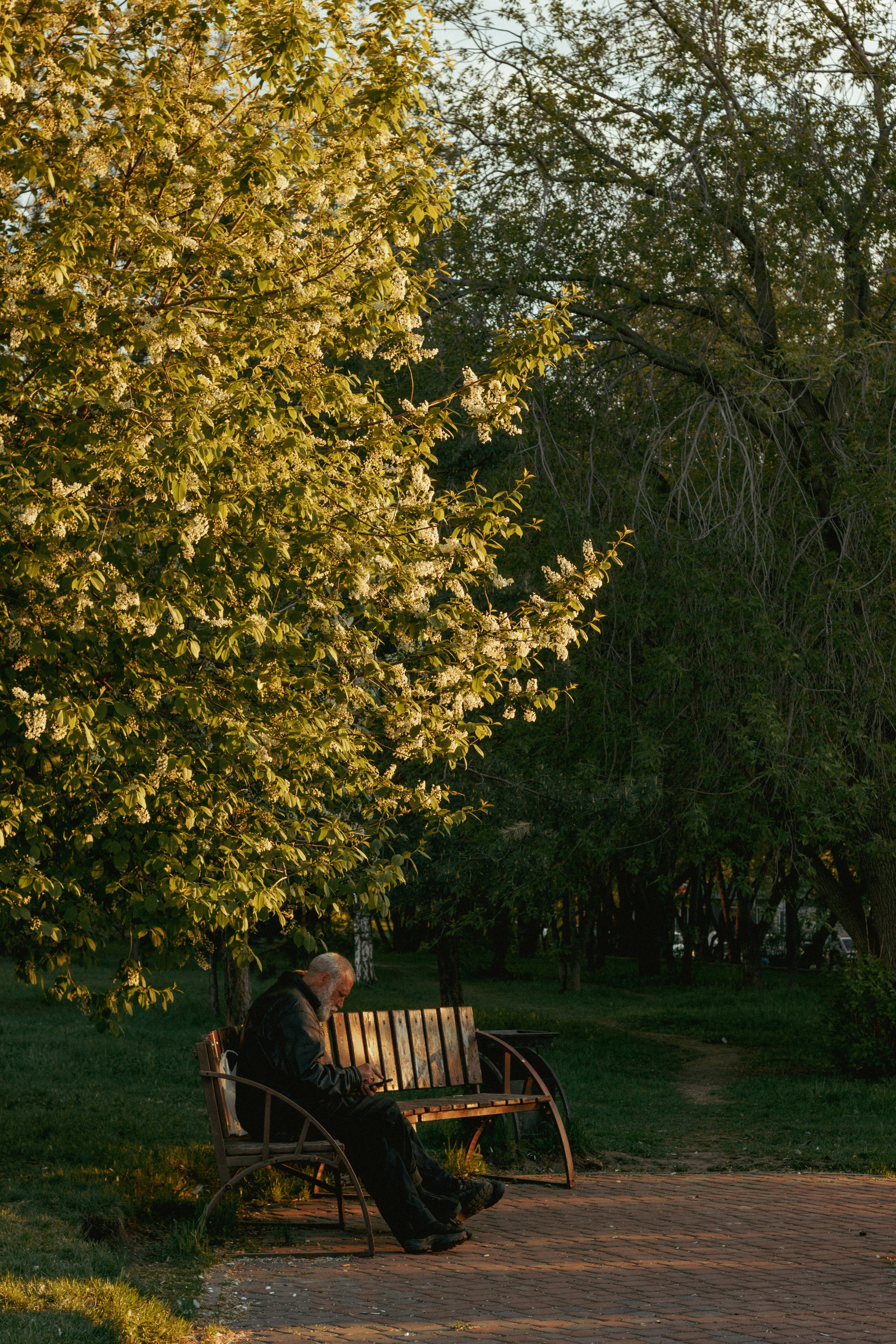 15.05.2025 | Сосновоборск. Kuznetsov | Фотограф в Красноярске