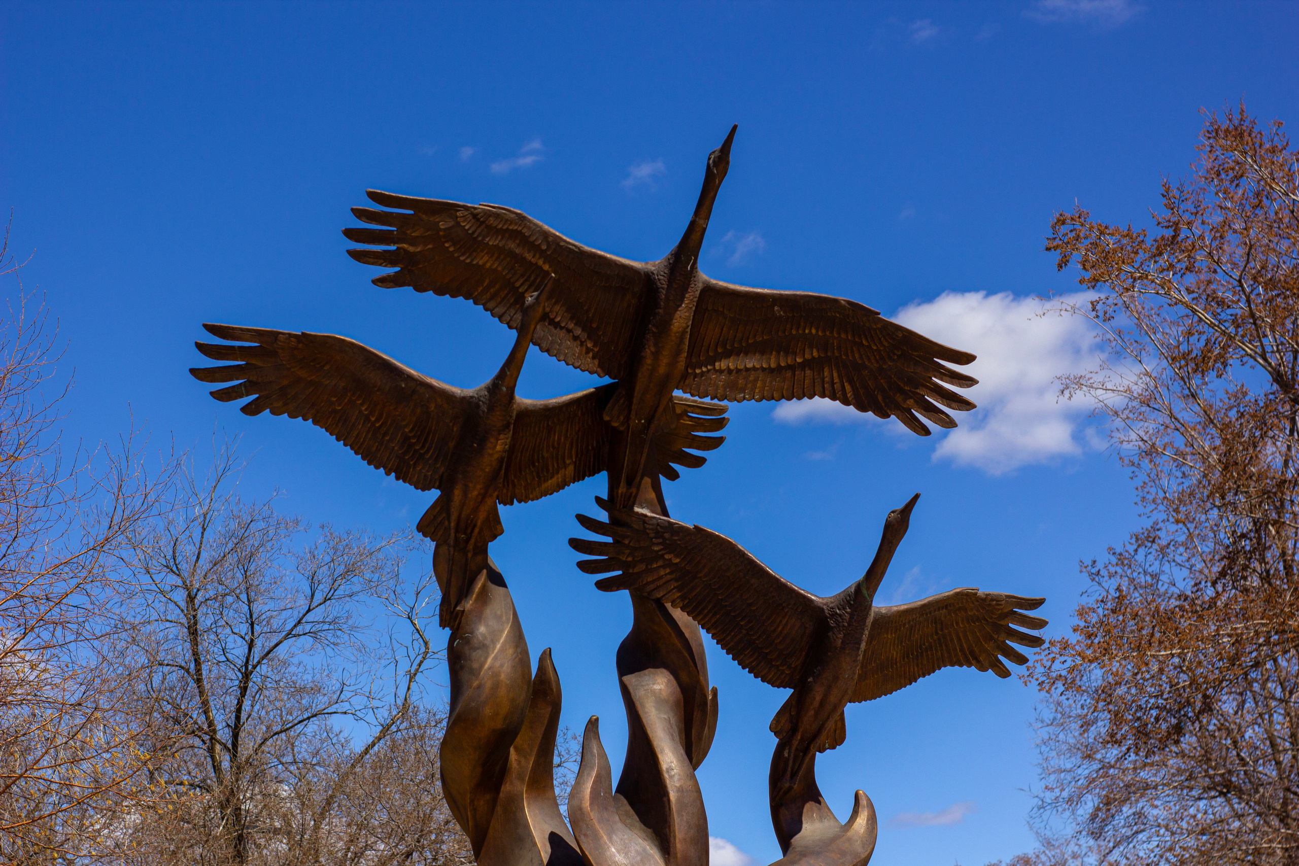 9 мая в Сосновоборске | 2024. Kuznetsov | Фотограф в Красноярске