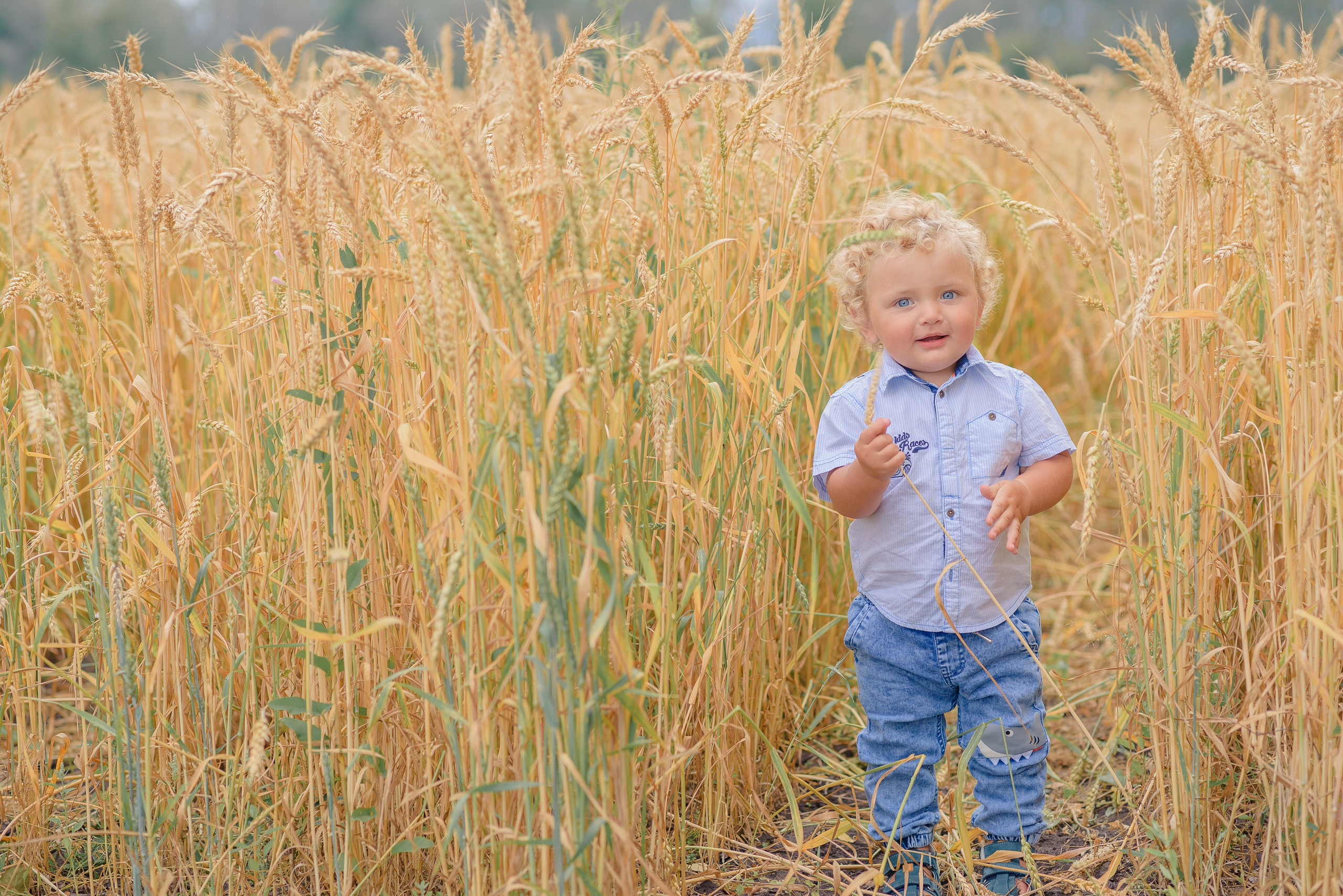 Пикник. Семейный фотограф в Рязани Мария Ермакова