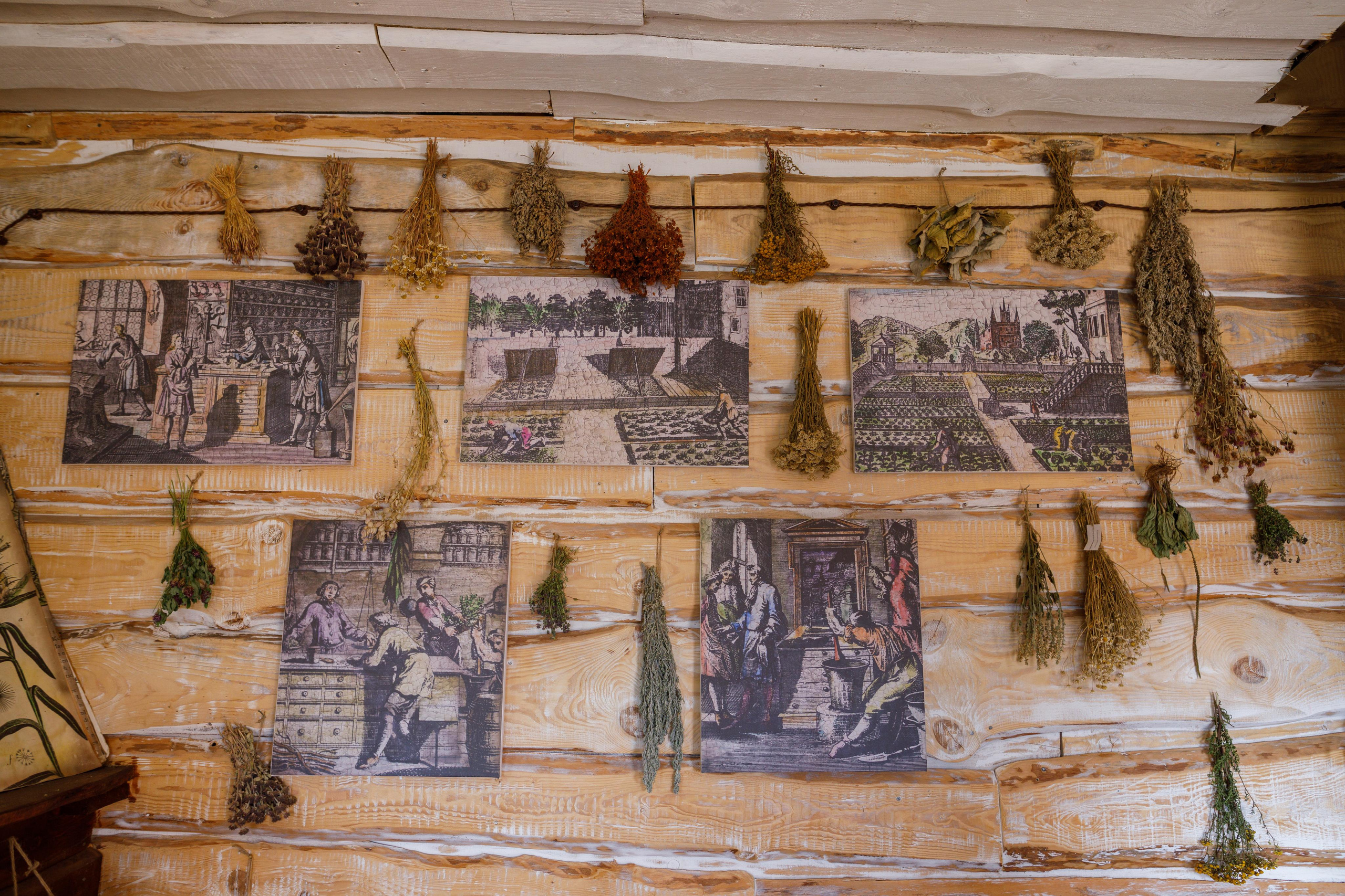 Великое Княжество Сула Парк истории. Фотограф Евгений Стельмах в Молодечно и Минске