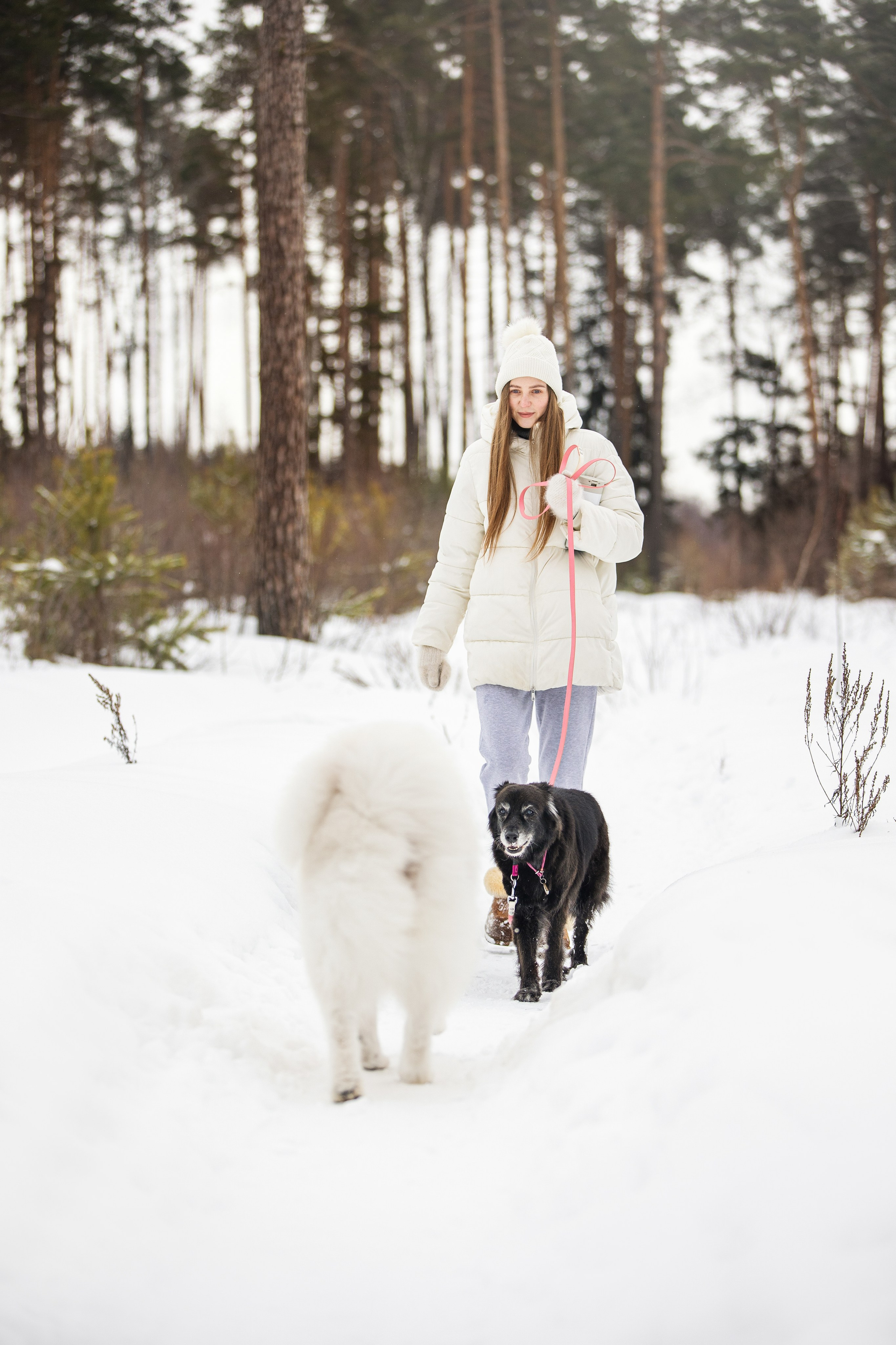 Валя, Варя и Лада. Фотограф анималист в Москве Майорова Евгения