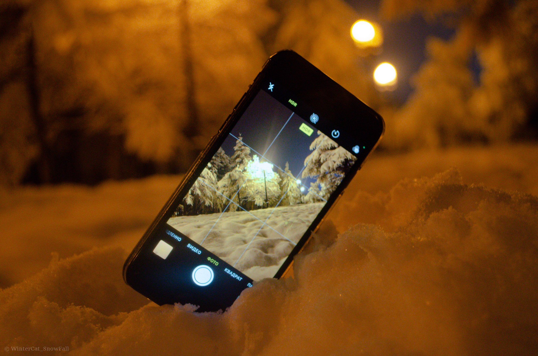 Услуги. Портретный и репортажный фотограф в Магадане Андрей Нефедов WinterCatPhoto