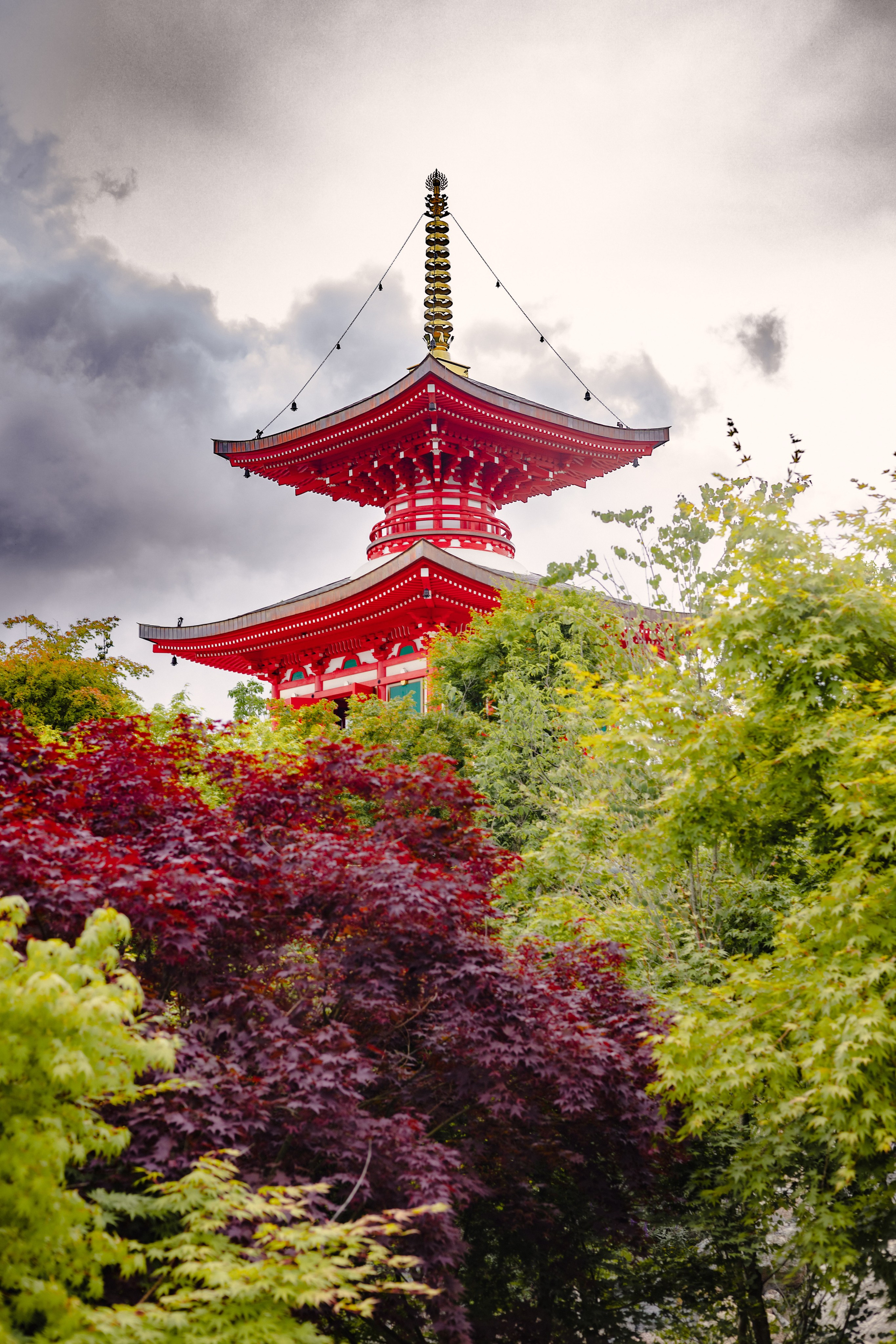Японский сад в Краснодаре. Профессиональный фотограф и видеооператор