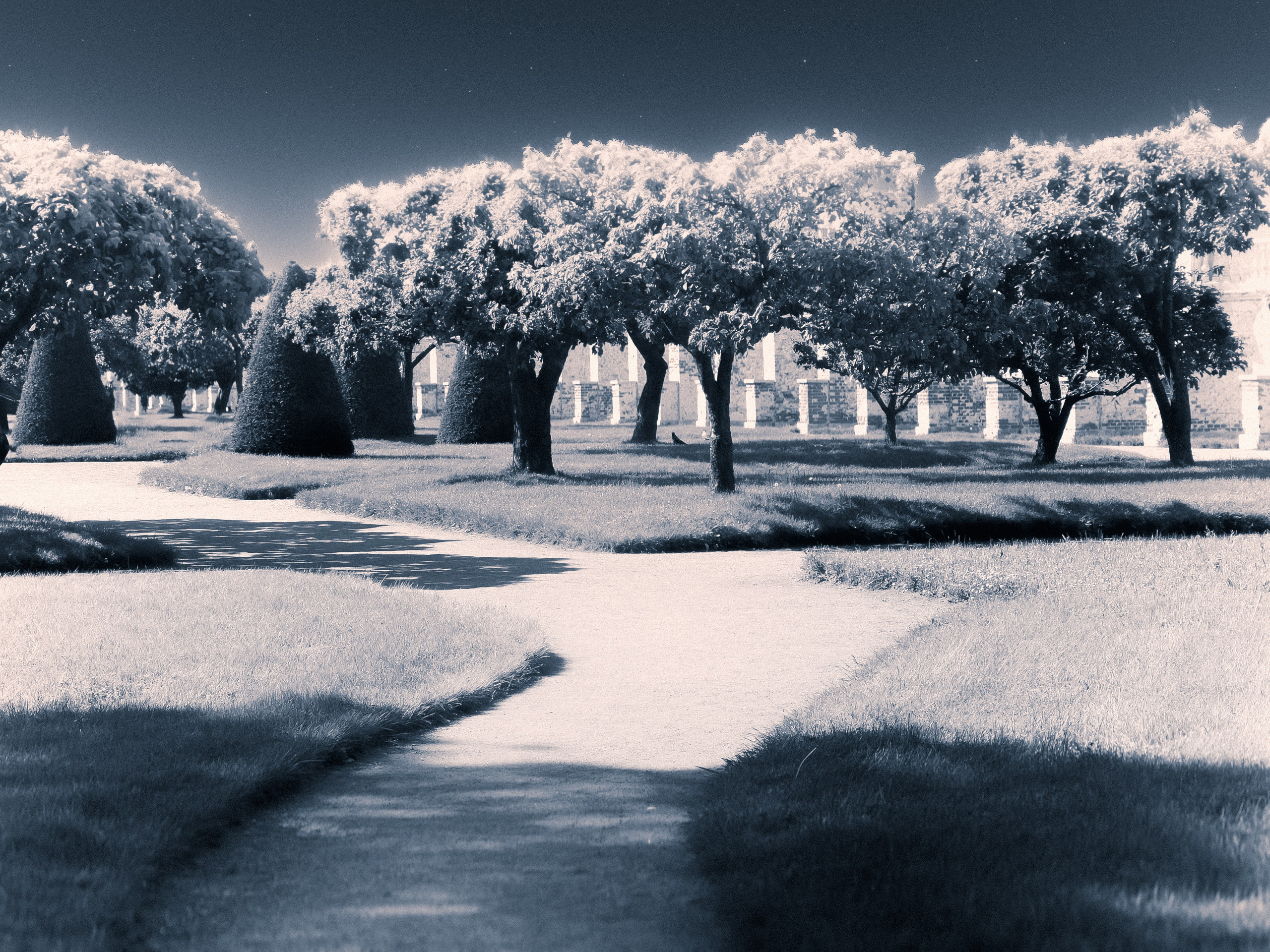 Работы вне серий — Сафонов Владислав. Сафонов Владислав, фотохудожник