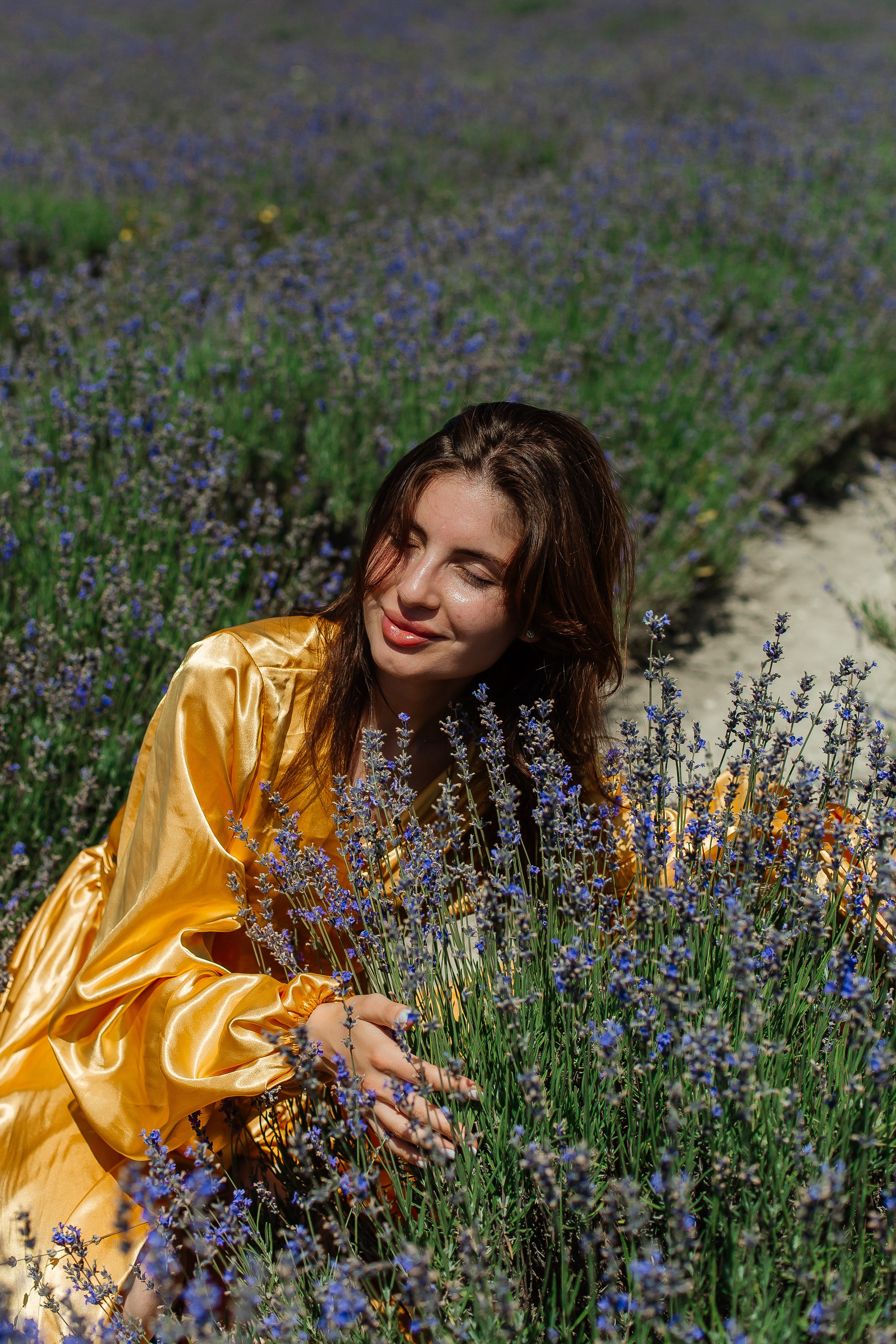 Лавандовые поля