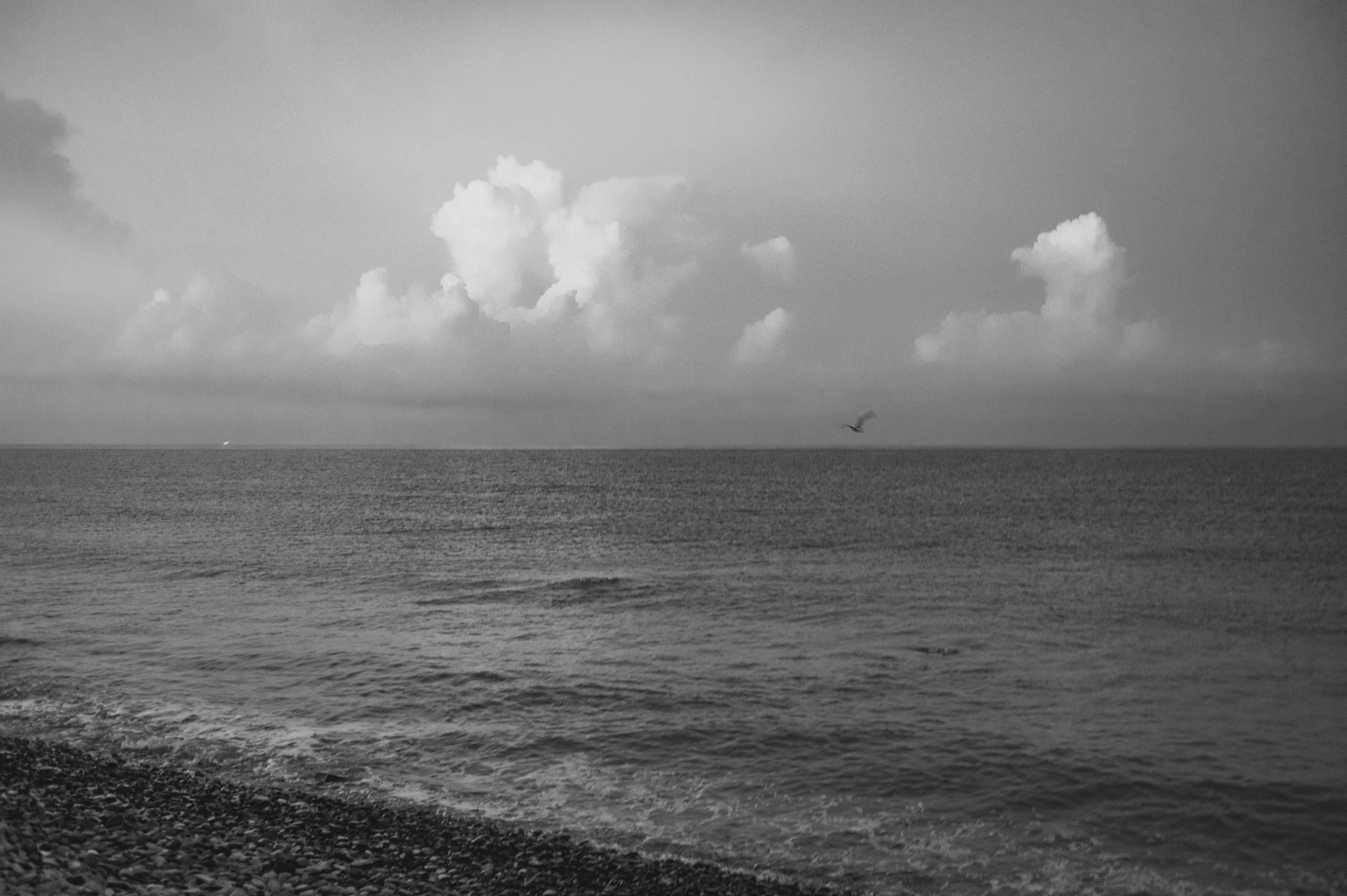 Индивидуальная (ню). Сайт фотографа Данилы Пащенко