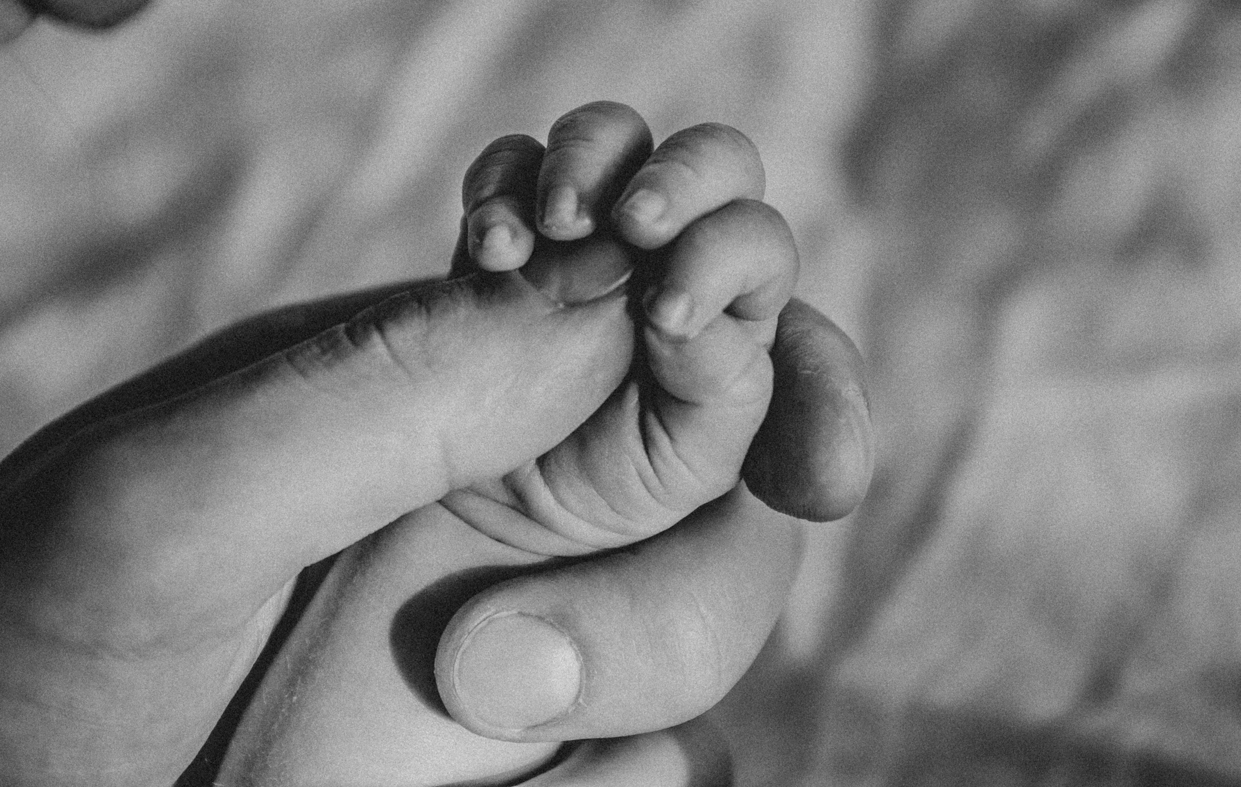 Домашние истории. Фотограф в Краснодаре