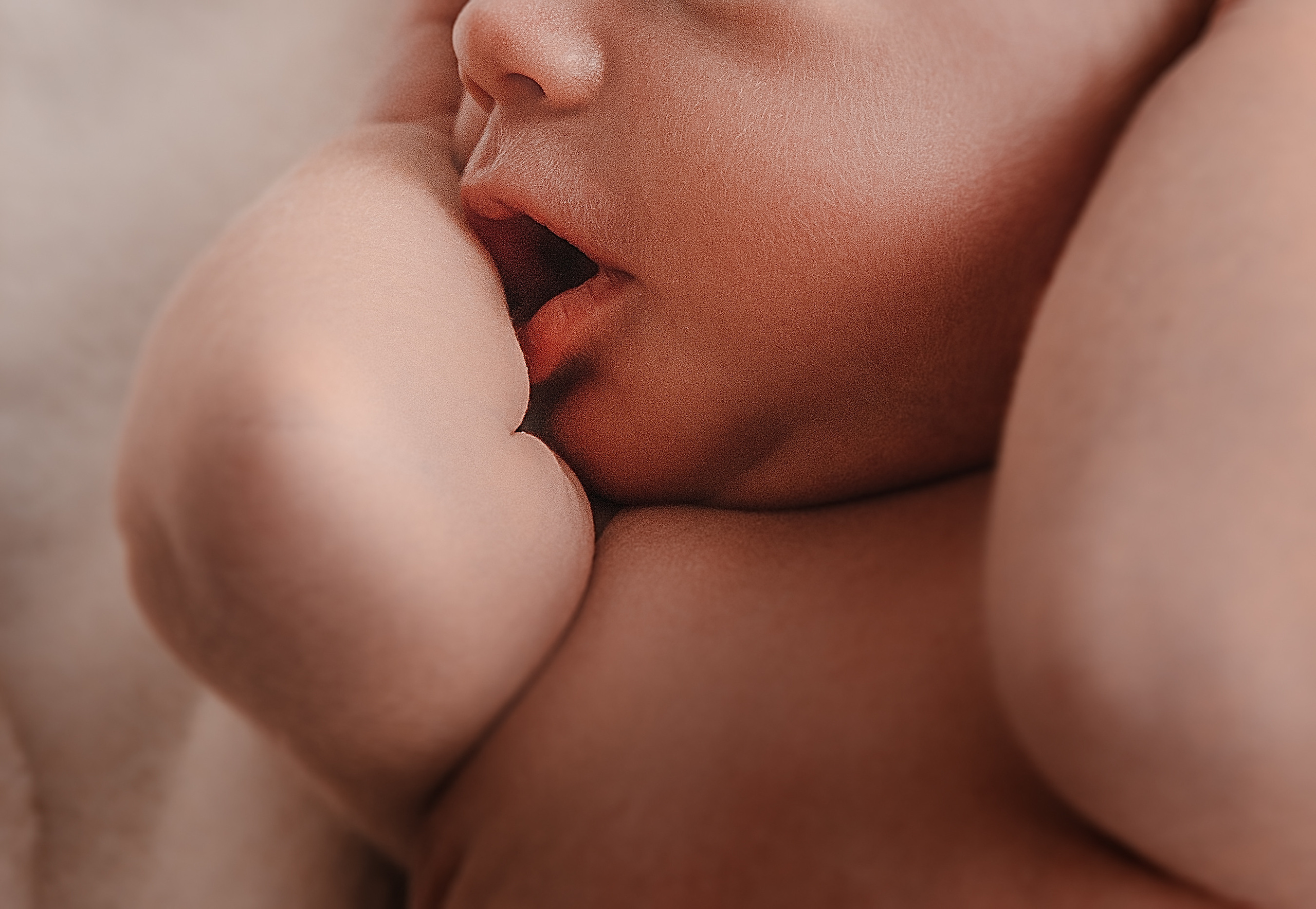 Домашние истории. Фотограф в Краснодаре