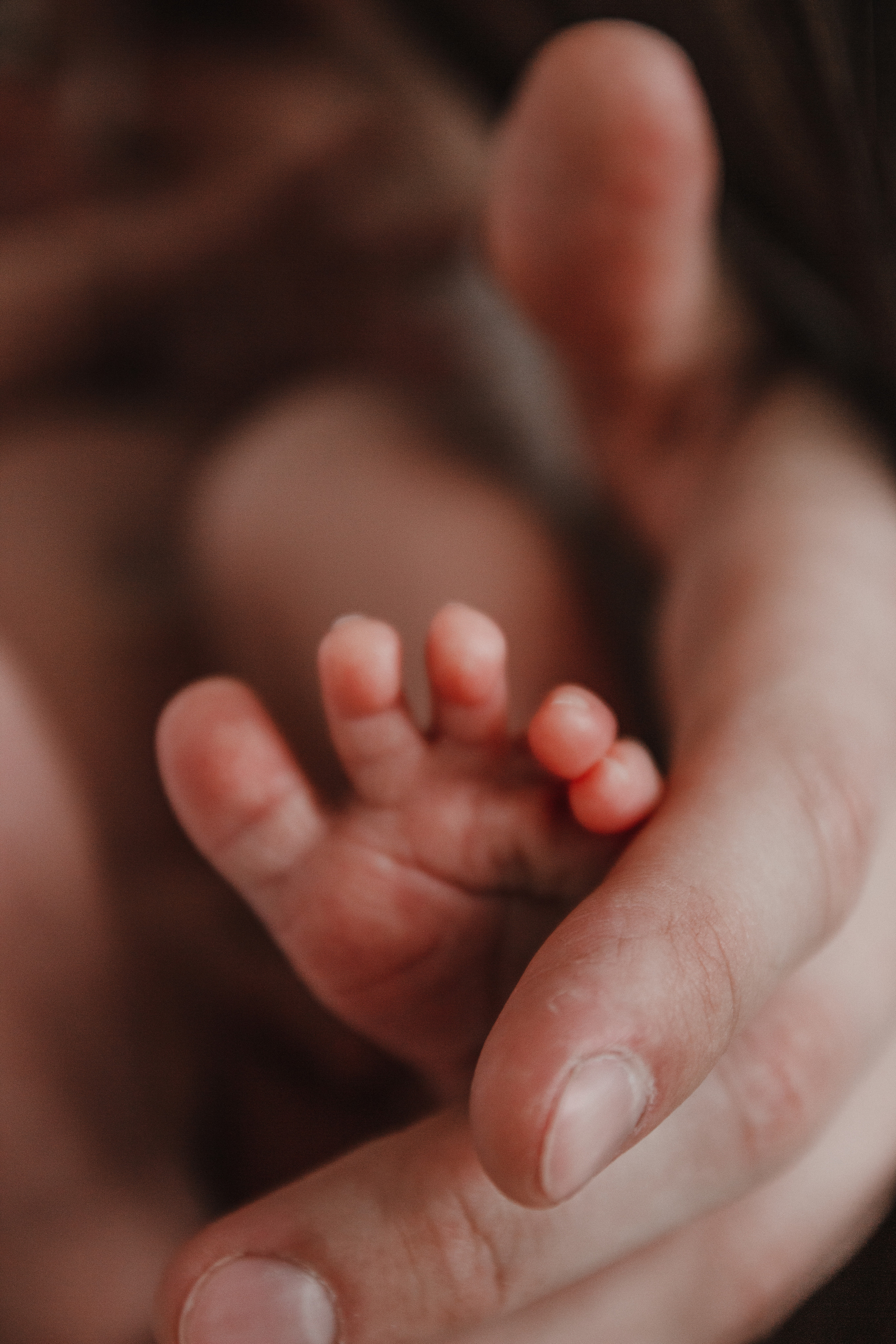 Домашние истории. Фотограф в Краснодаре