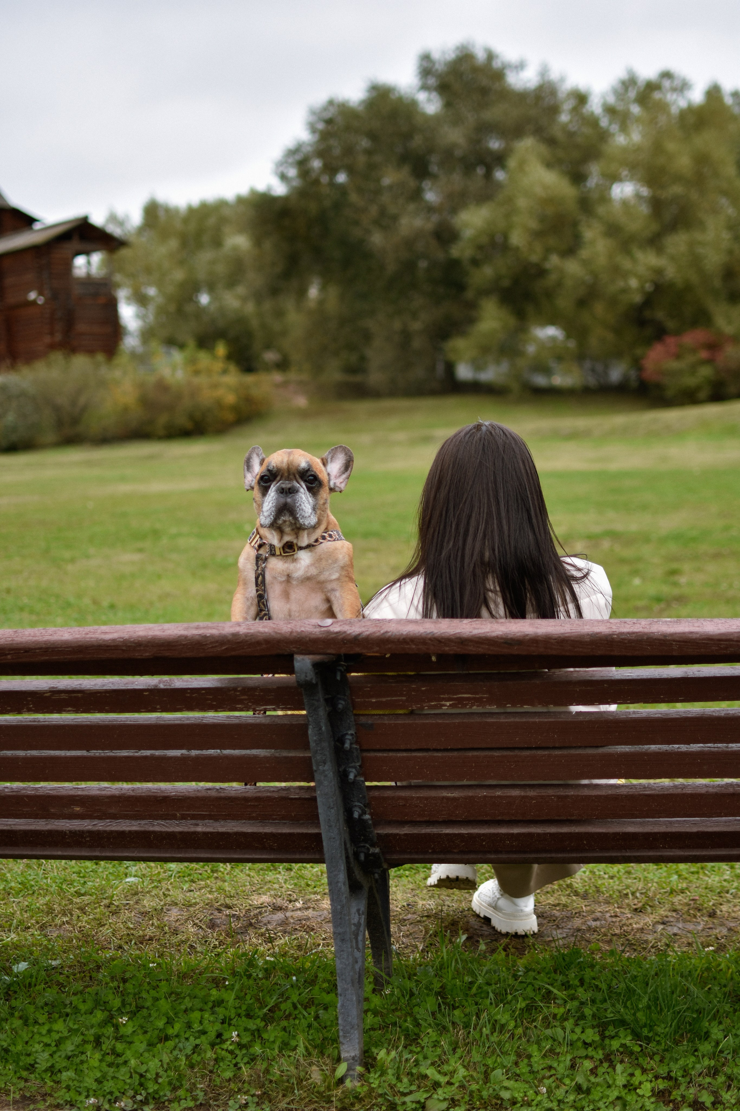Форбс и Юля. Фотограф-анималист Ксения Шевцова|Москва
