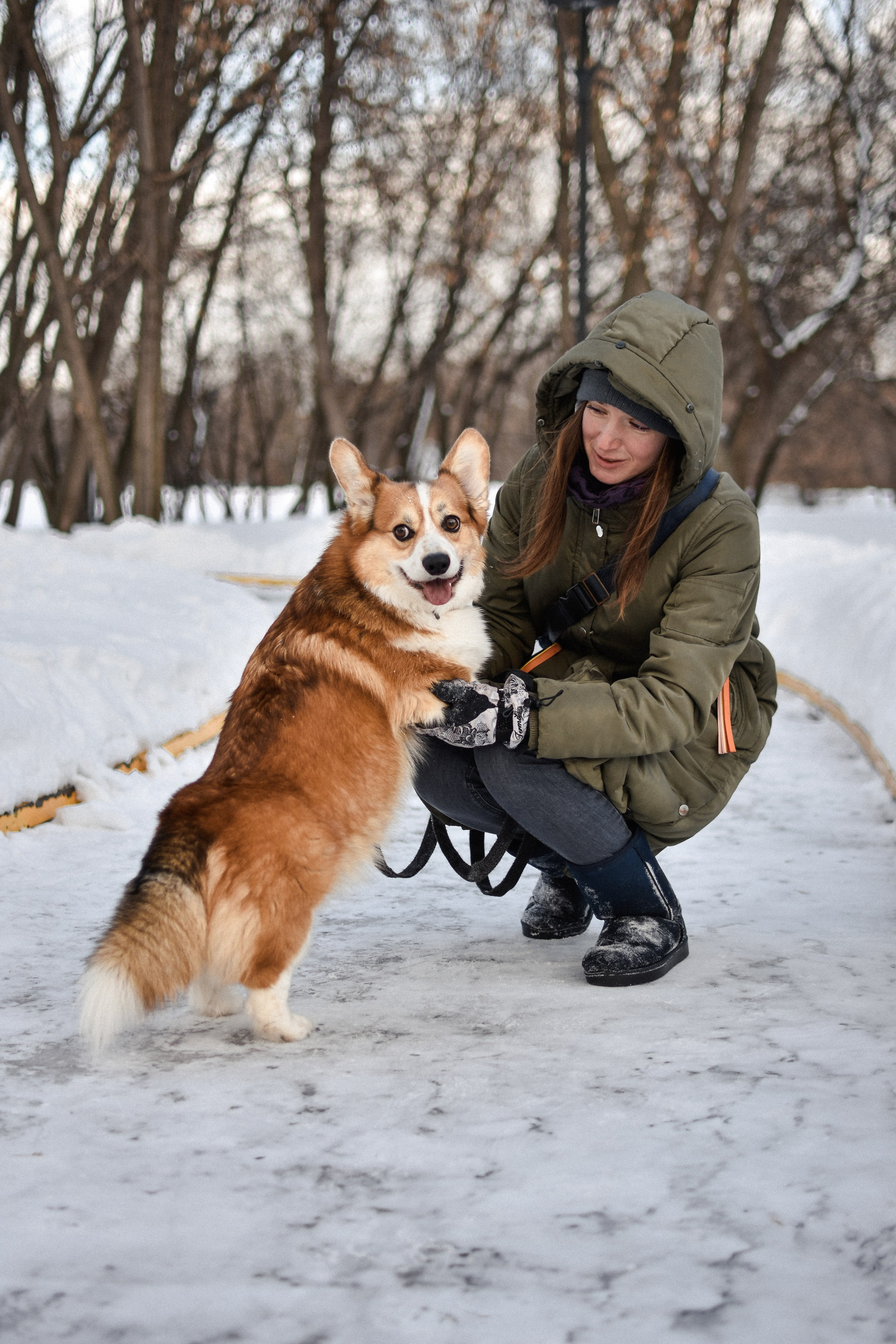 Алекс и Вера. Фотограф-анималист Ксения Шевцова|Москва