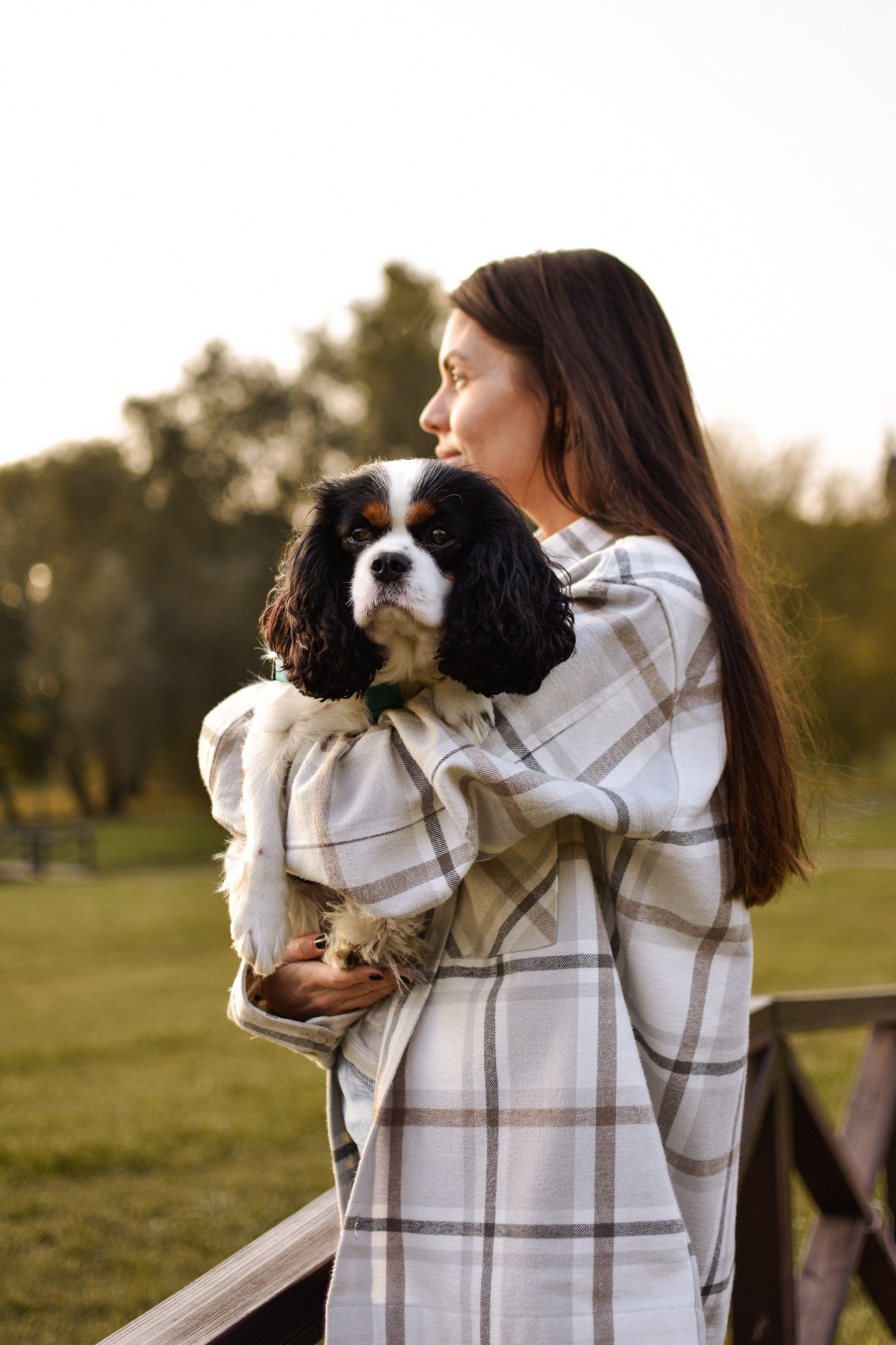 Молли, Кристина и Полина. Фотограф-анималист Ксения Шевцова|Москва