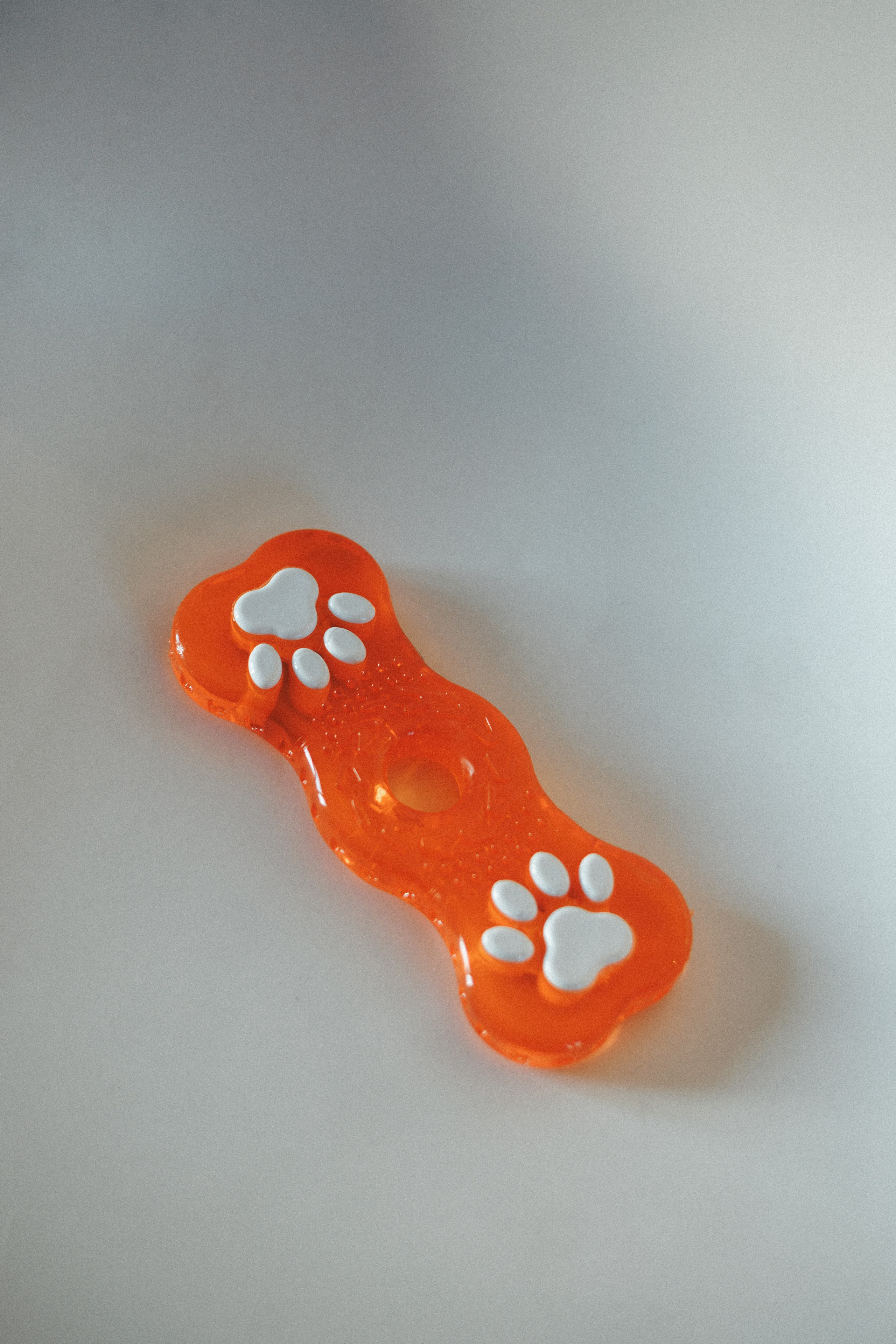 M-Pets. Фотограф анималист Осипчикова Мария