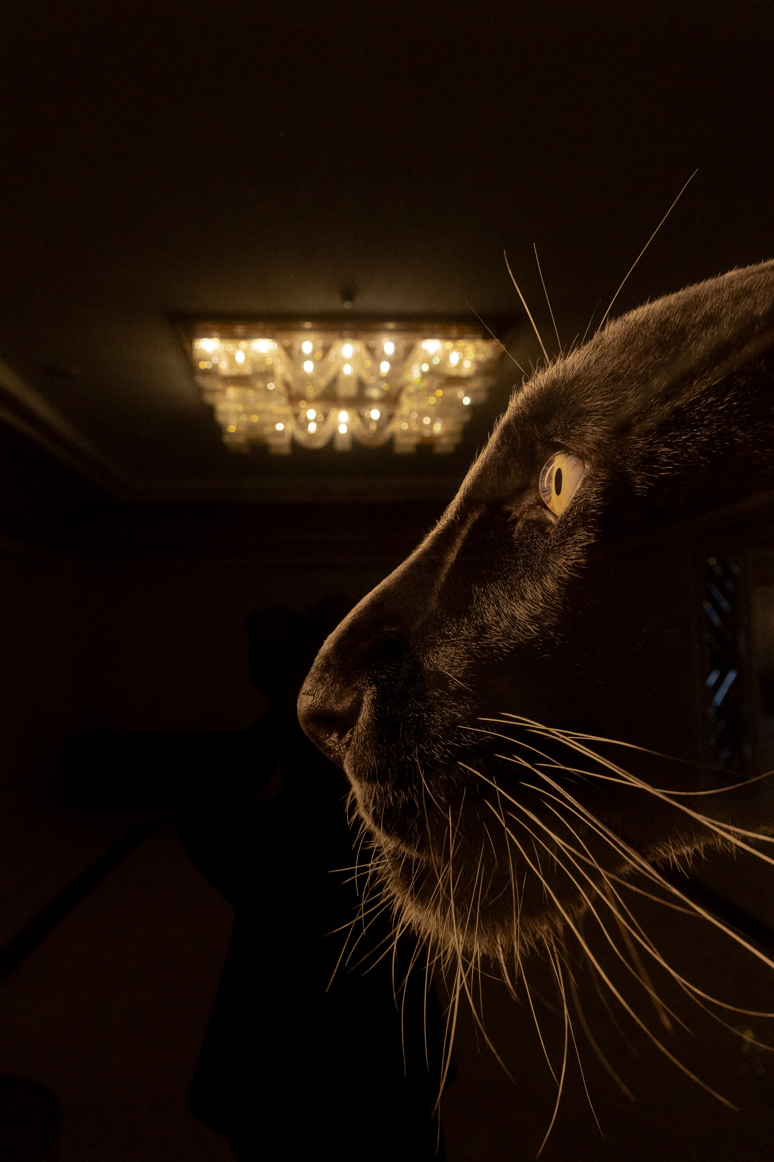 Полезная Party 2024. Свадебный фотограф Колесников Антон