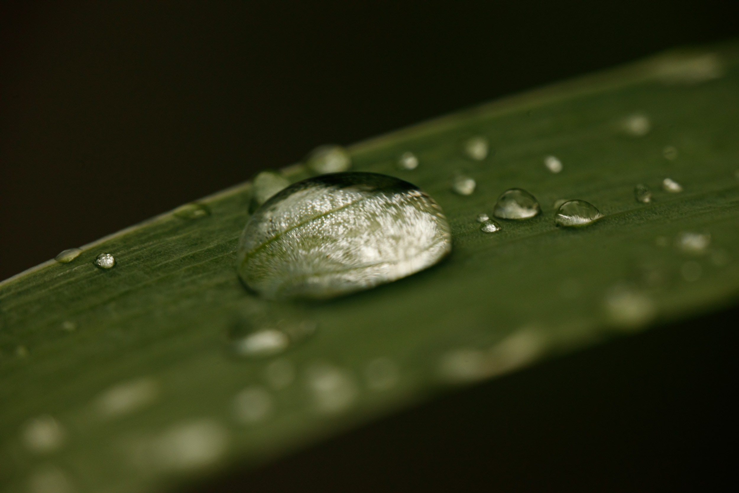 Фотохудожник Андрей Лагунов