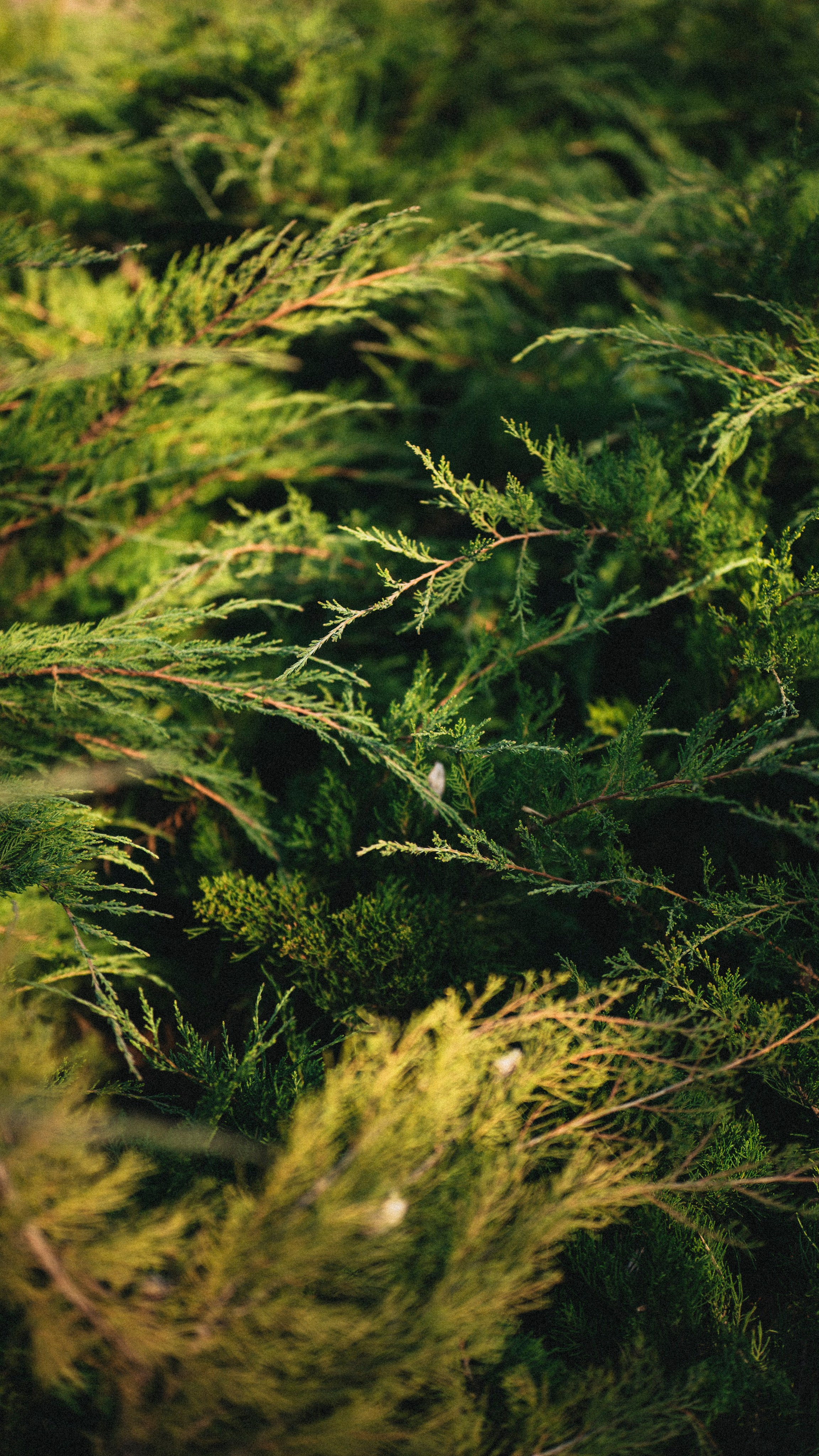 2025 — путешествия на цифру. Фотограф в Алматы — Алексей Коньков | Репортаж, свадьбы, портреты