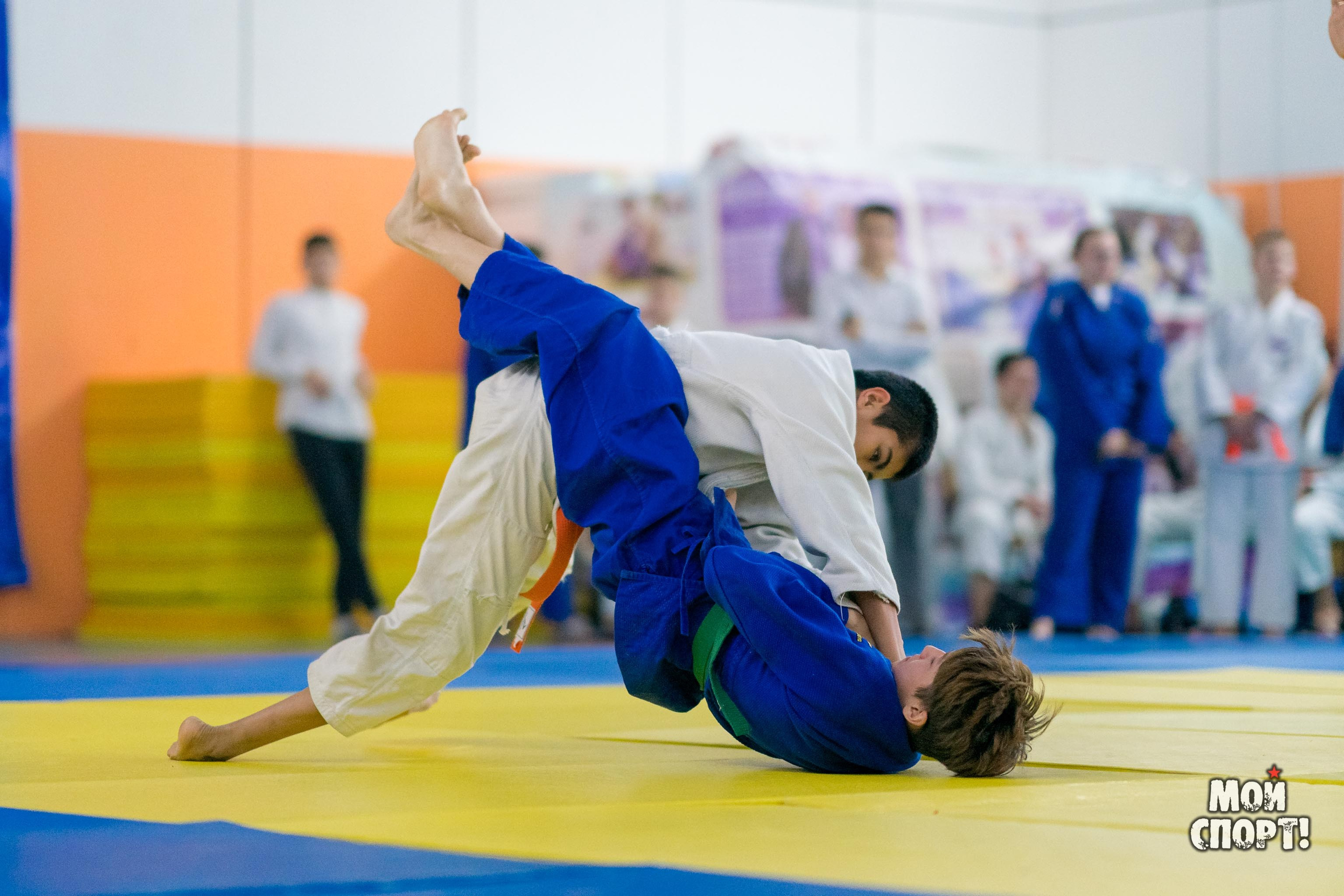Кубок и первенство РС (Я) по дзюдо. Студия «Мой Спорт!» — все о спорте в Якутии