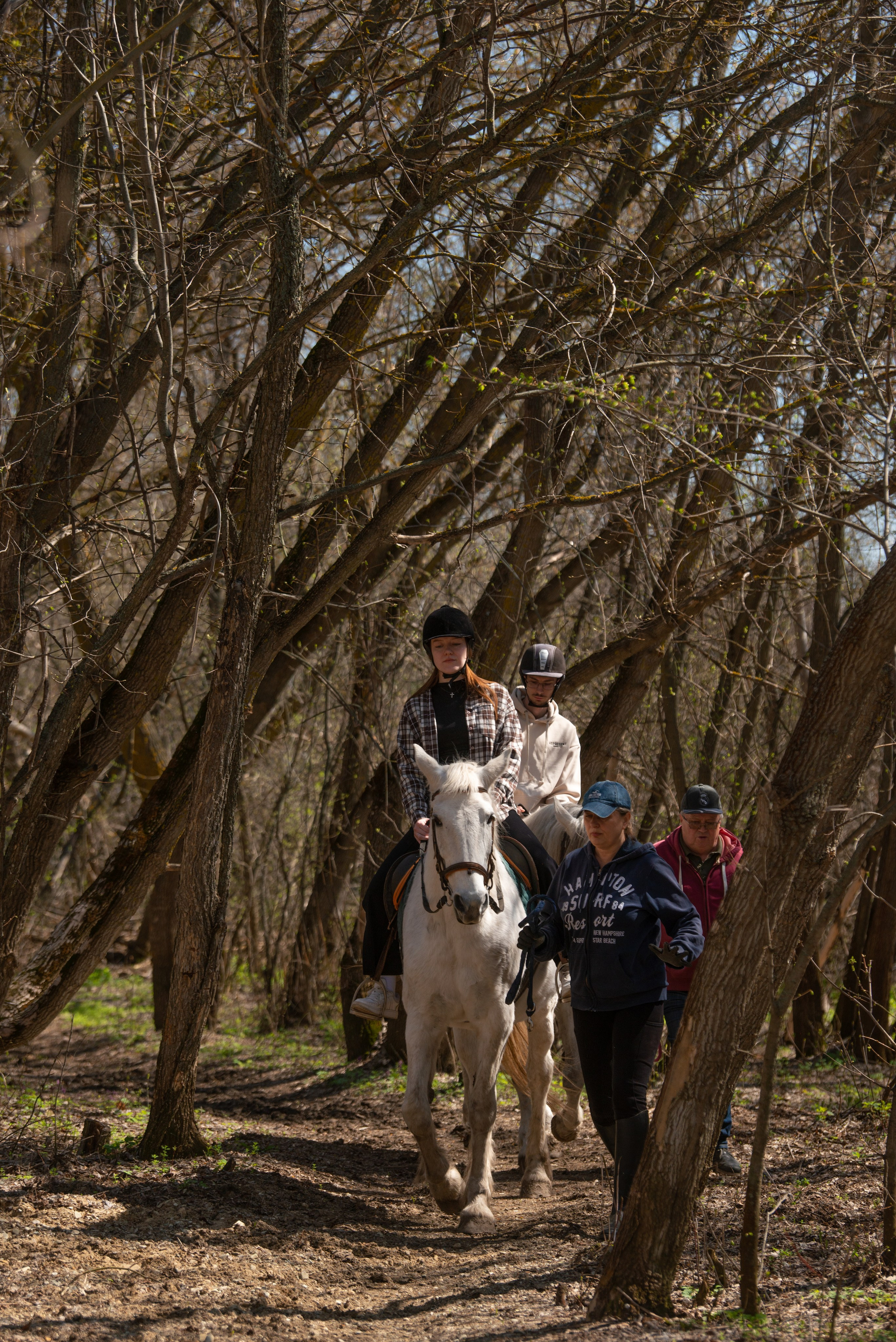 Прогулка. Конный фотограф в Саратове Юлия Иванова