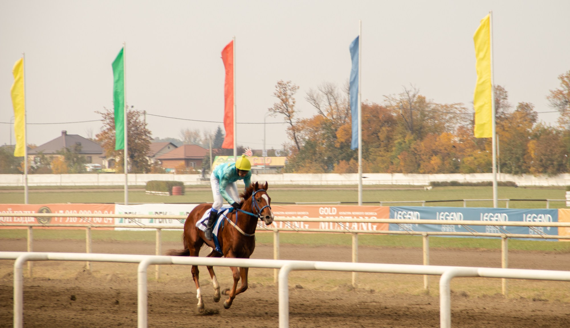 Закрытие скакового сезона на Краснодарском ипподроме. Репортажный, промышленный и маркетплейс-фотограф Дмитрий Чернат