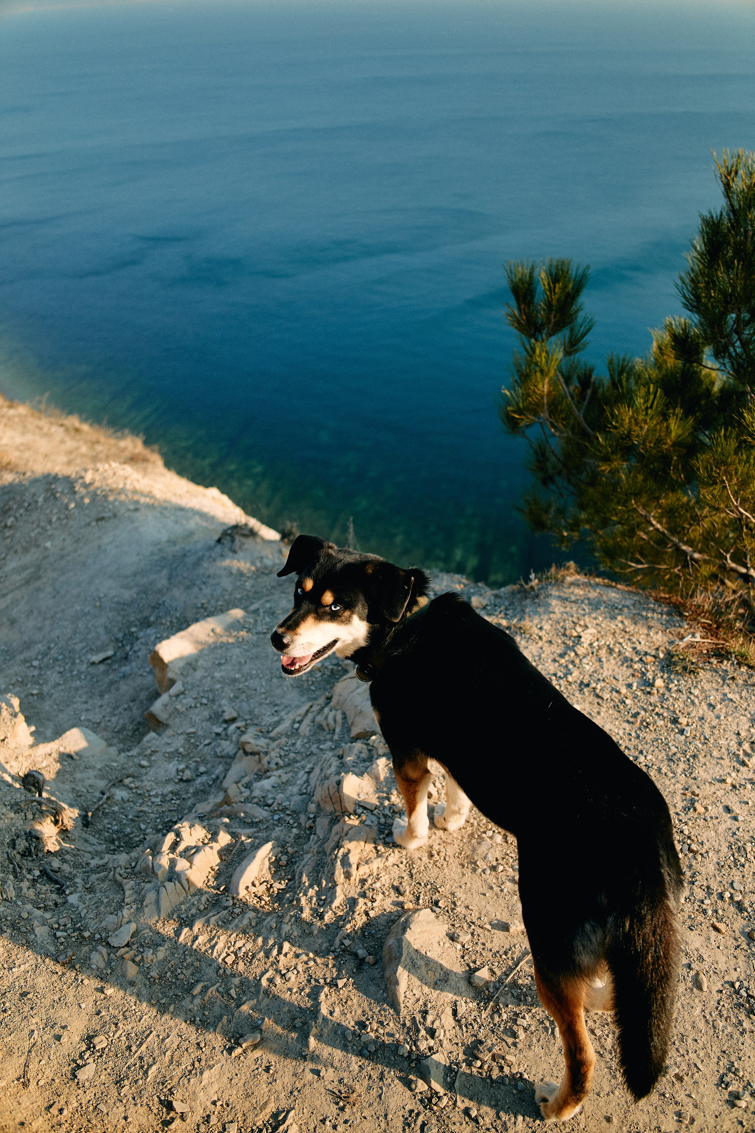 Юг России. Профессиональный Фотограф во Владимире, в Москве и в Суздале — Полина Романычева