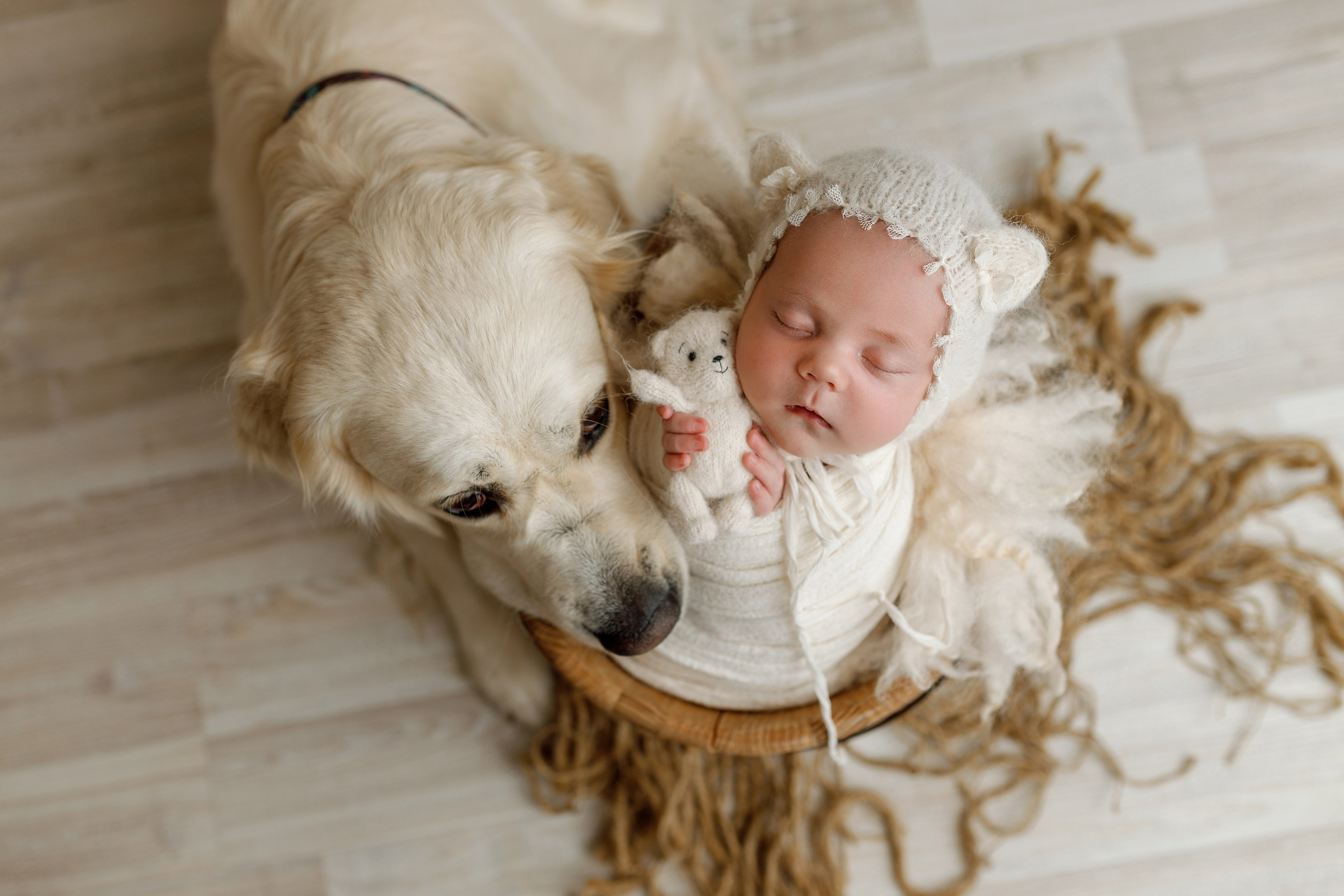 Новорожденные. Фотограф новорожденных и беременности в Минске