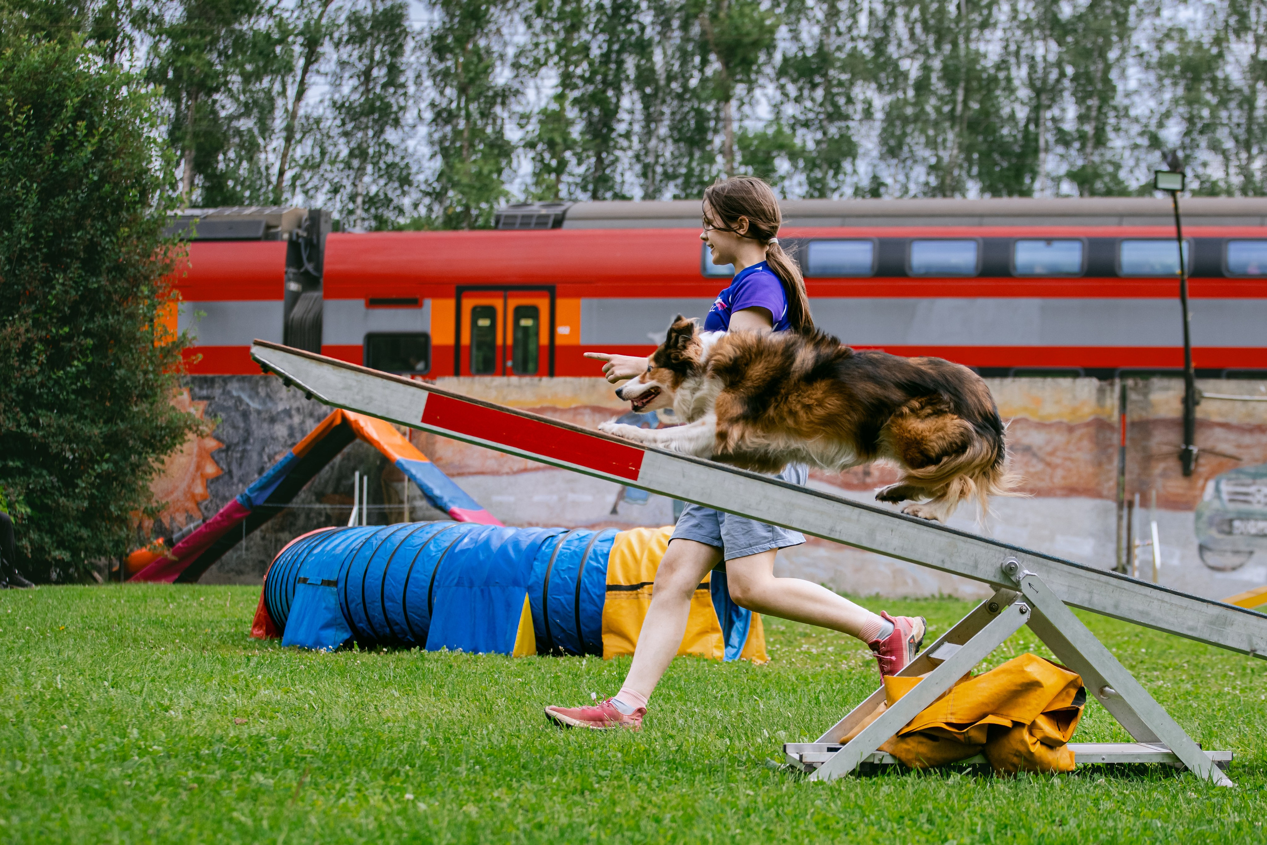 Соревнования по аджилити Долгопрудный 30.06.2025. Фотограф-анималист Татьяна Степанова