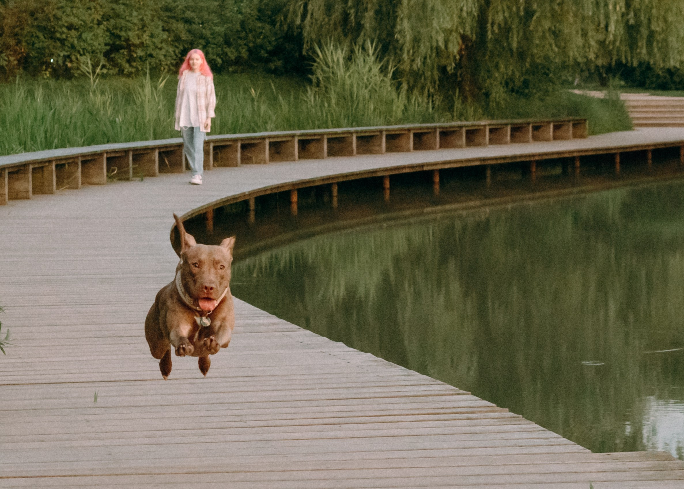 Виолетта, Лила и Питер. Фотограф-анималист Ксения Воробьева, Москва