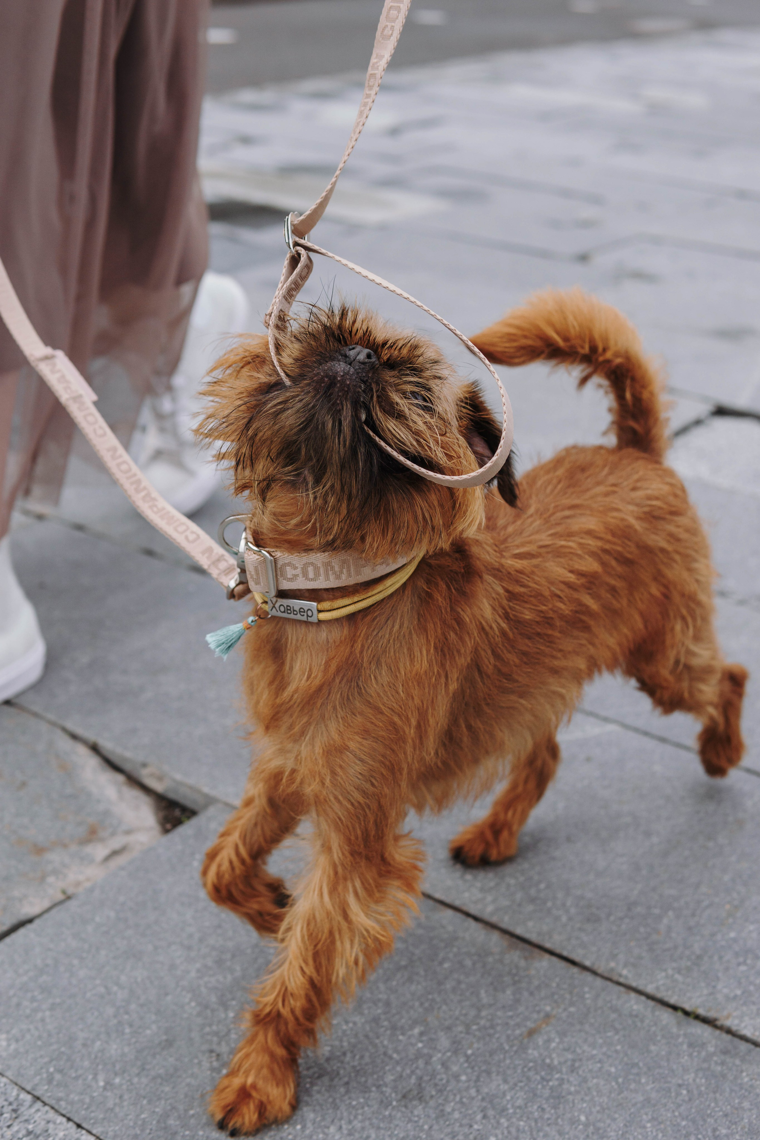 Наташа, Сережа и Хавьер. Фотограф-анималист Ксения Воробьева, Москва