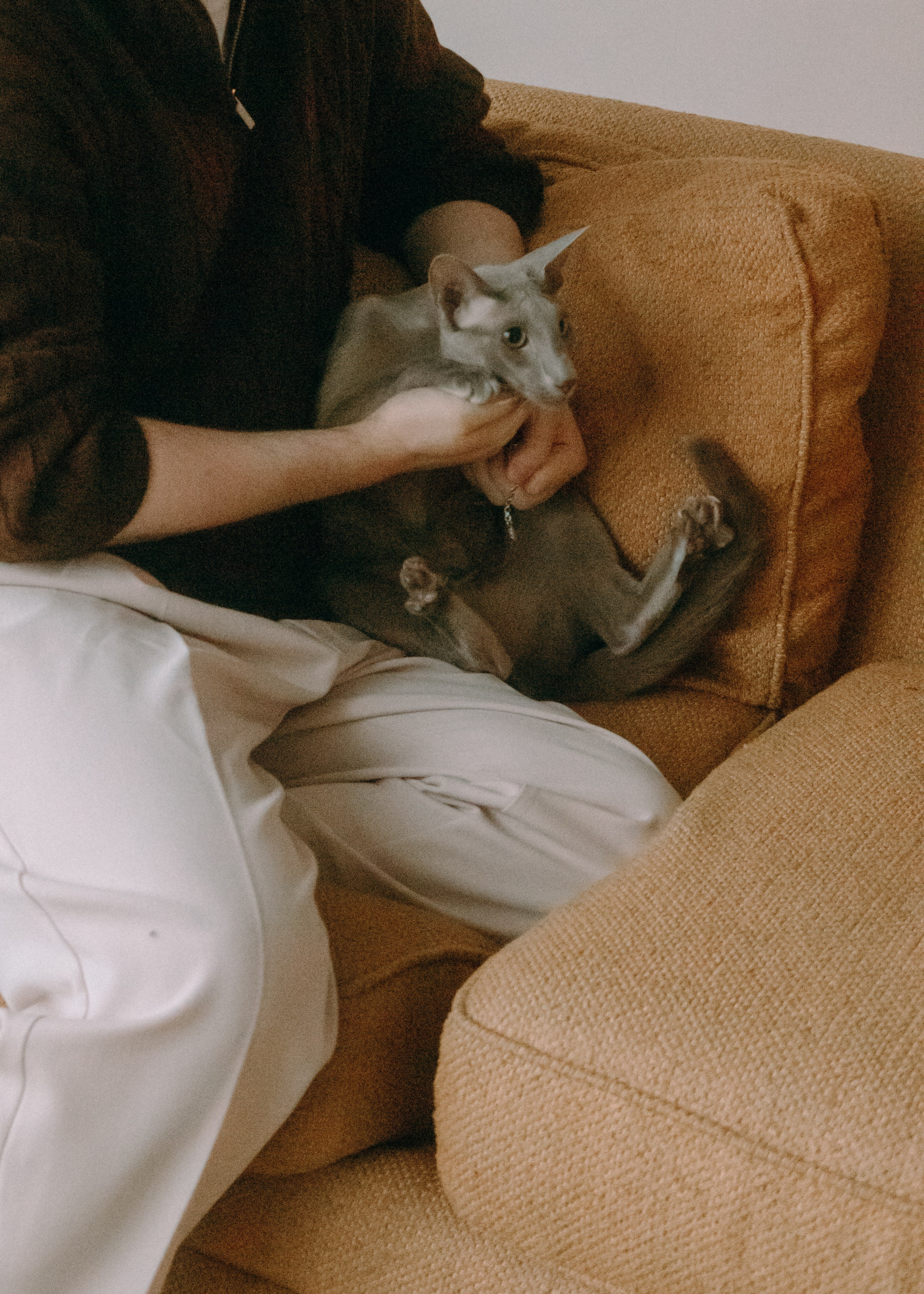 Амина, Булат и Орион. Фотограф-анималист Ксения Воробьева, Москва