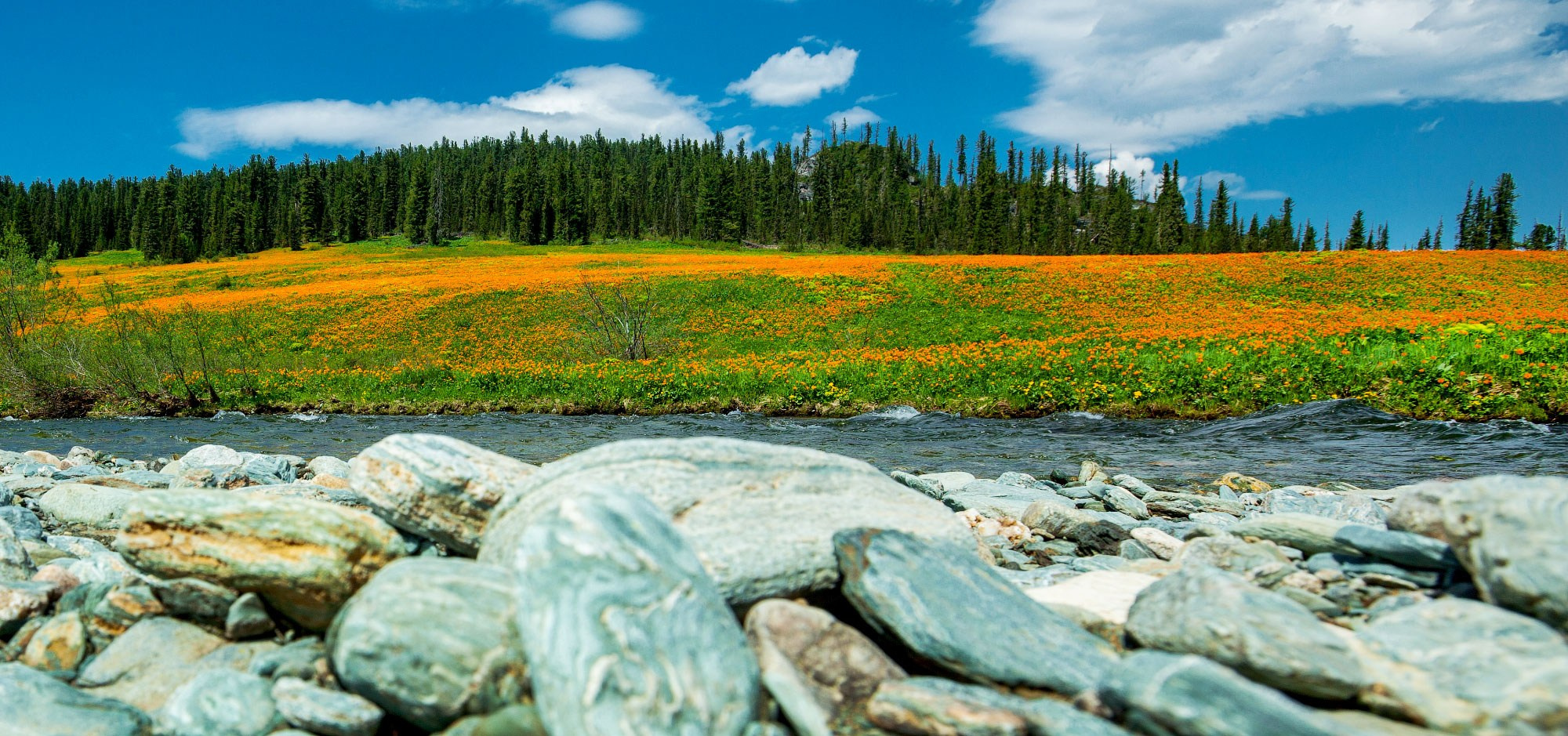Свадебный фотограф в Геленджике