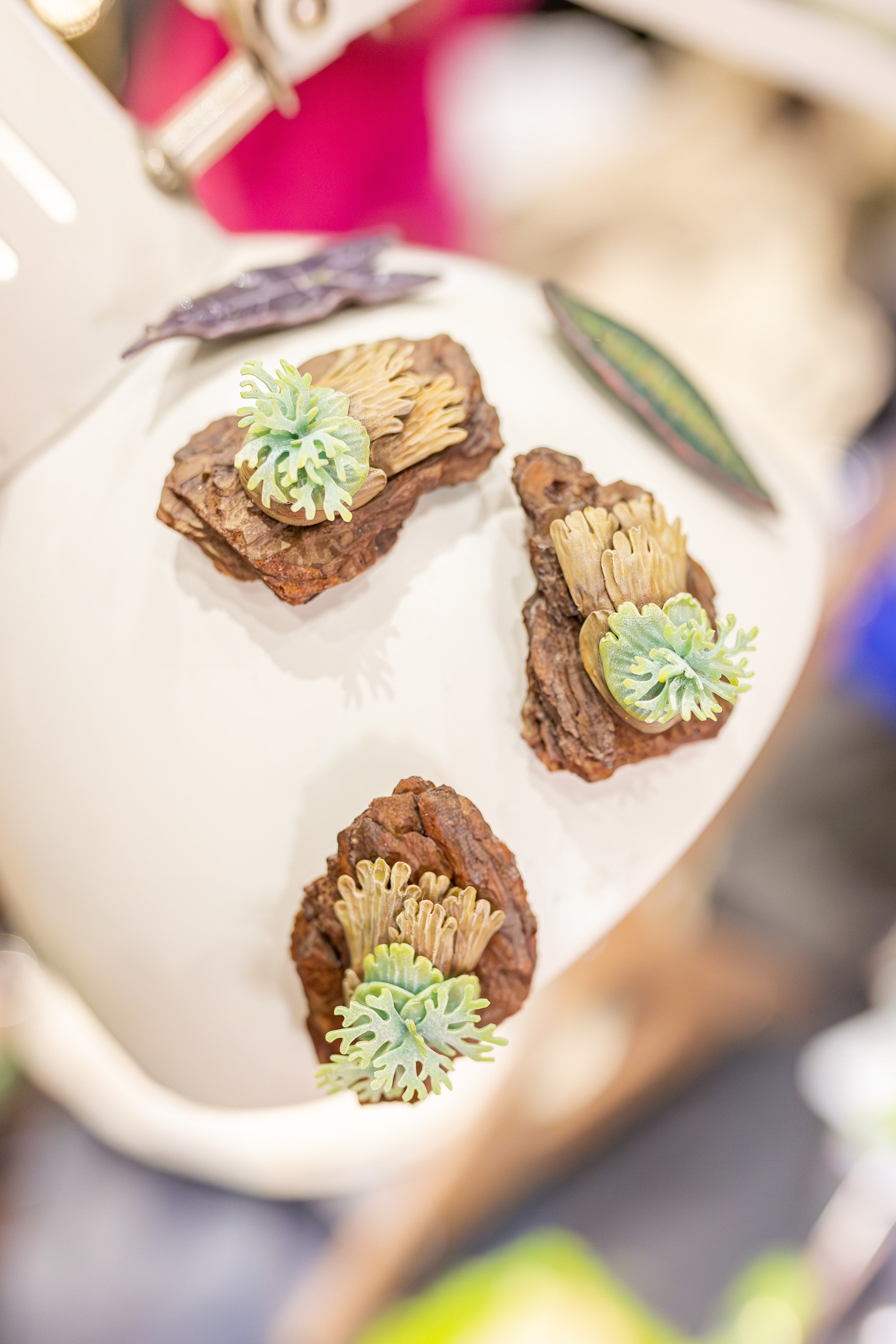 Монстериум апрель 2026. Александра Куликова фотограф, Москва