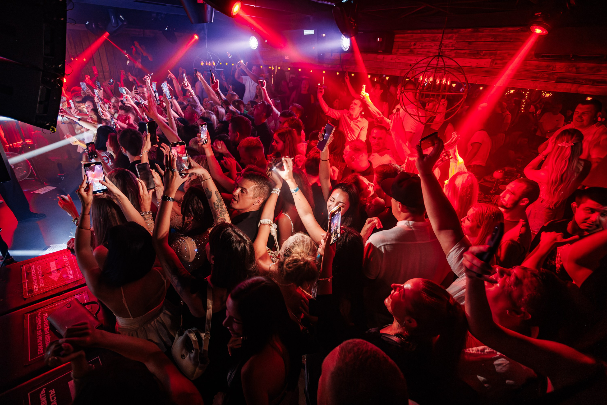 «Джиган"_Чайка на пляже_Ялта_12.07.2025 г. Аминов Руслан | Фотограф