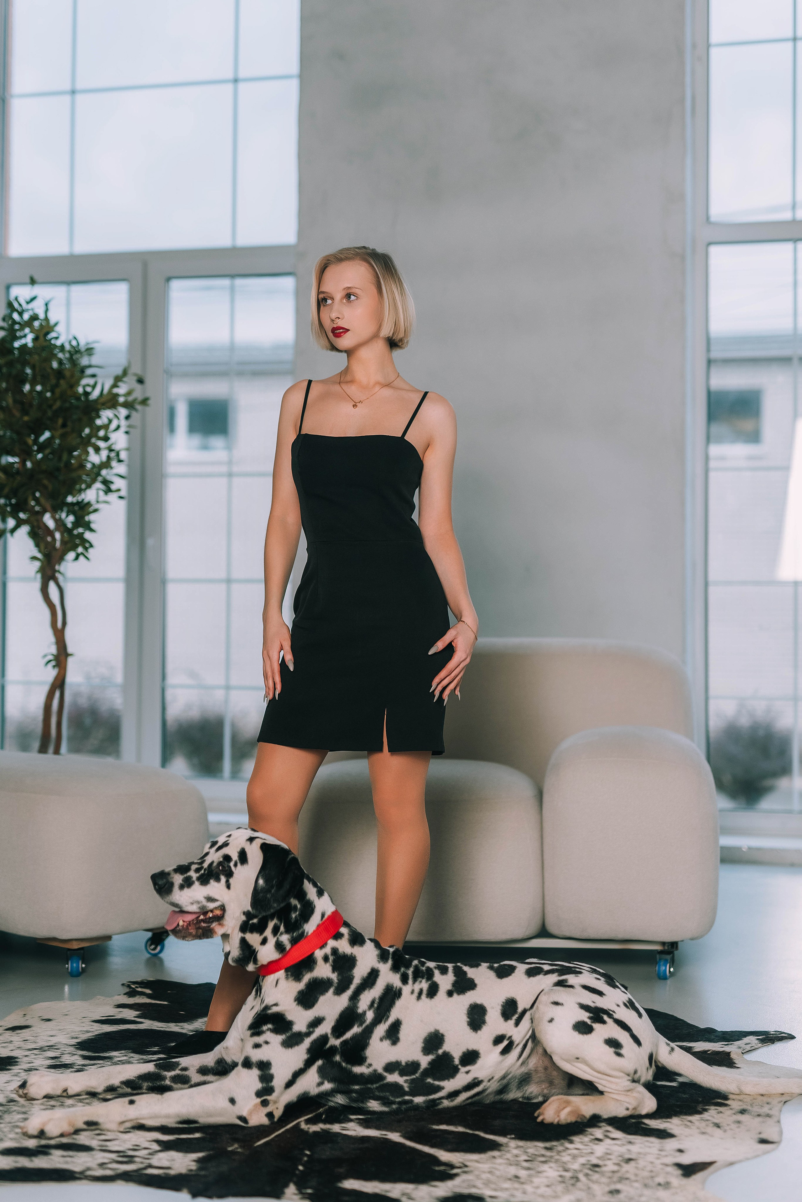 Фотосессия с далматинцем. Семейный, детский фотограф в Воронеже Анна Никитина