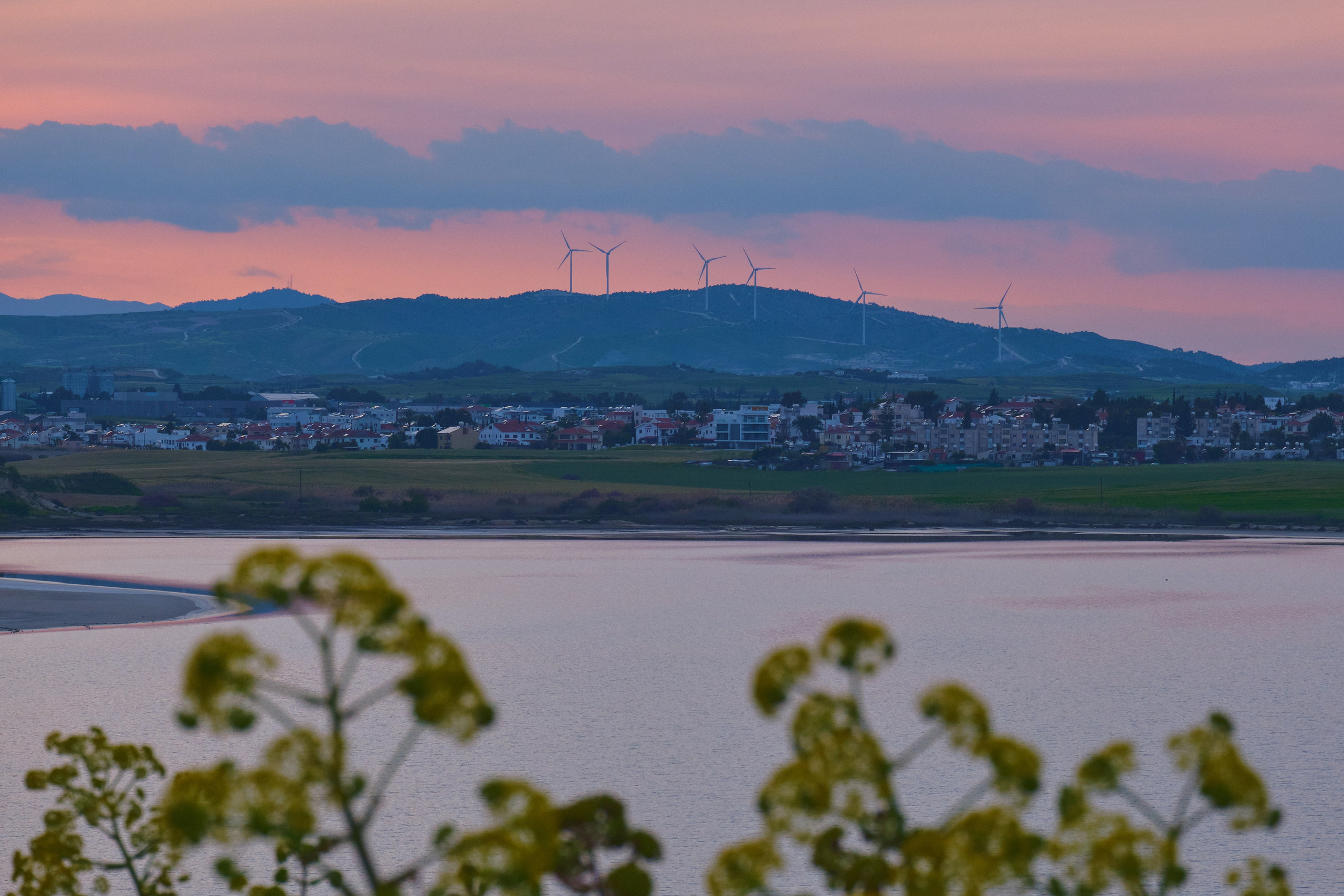 Cyprus 2024 / march. Aleksandr Kobtsev