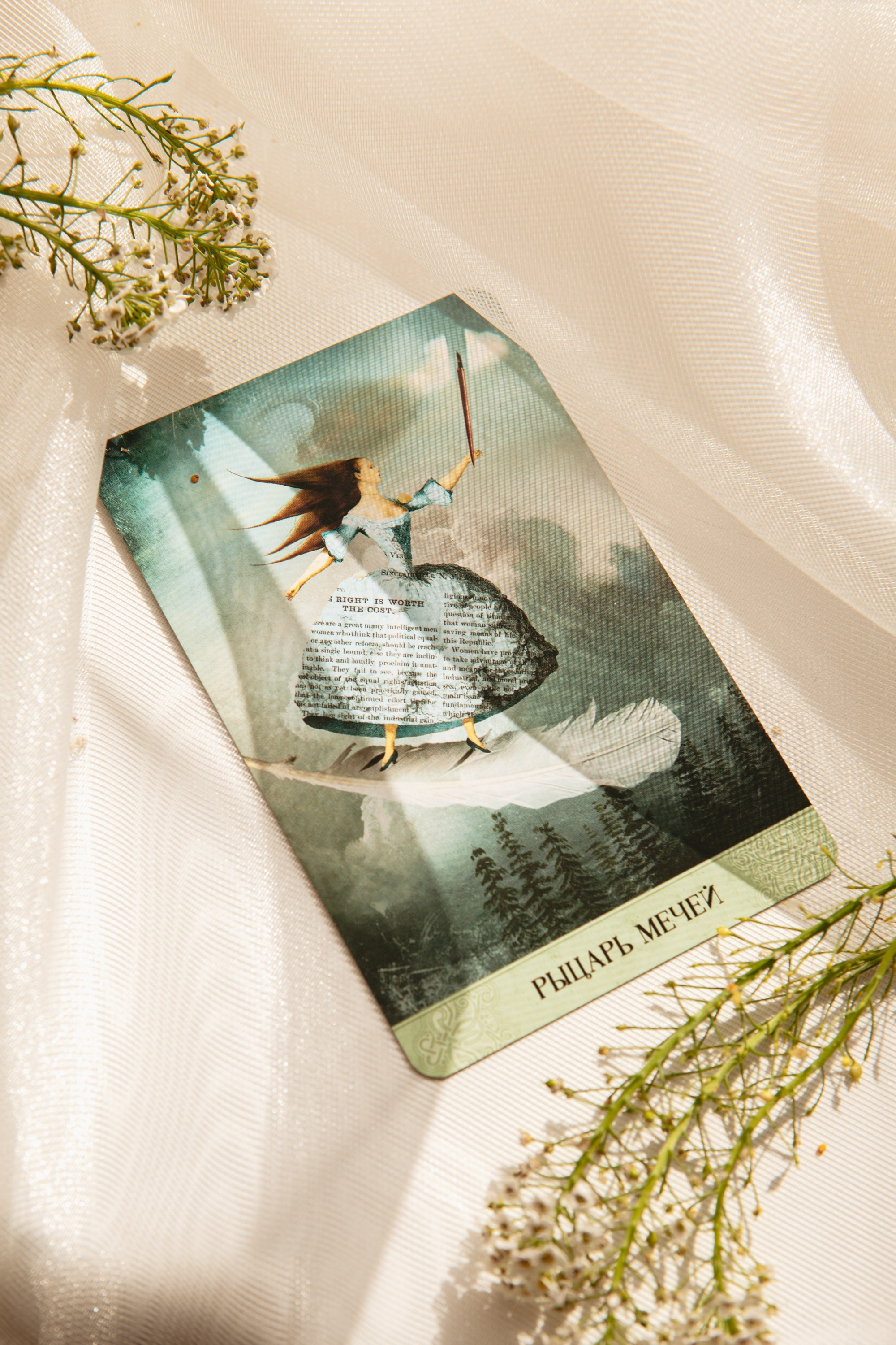 Таро. Виолетта Скрипка